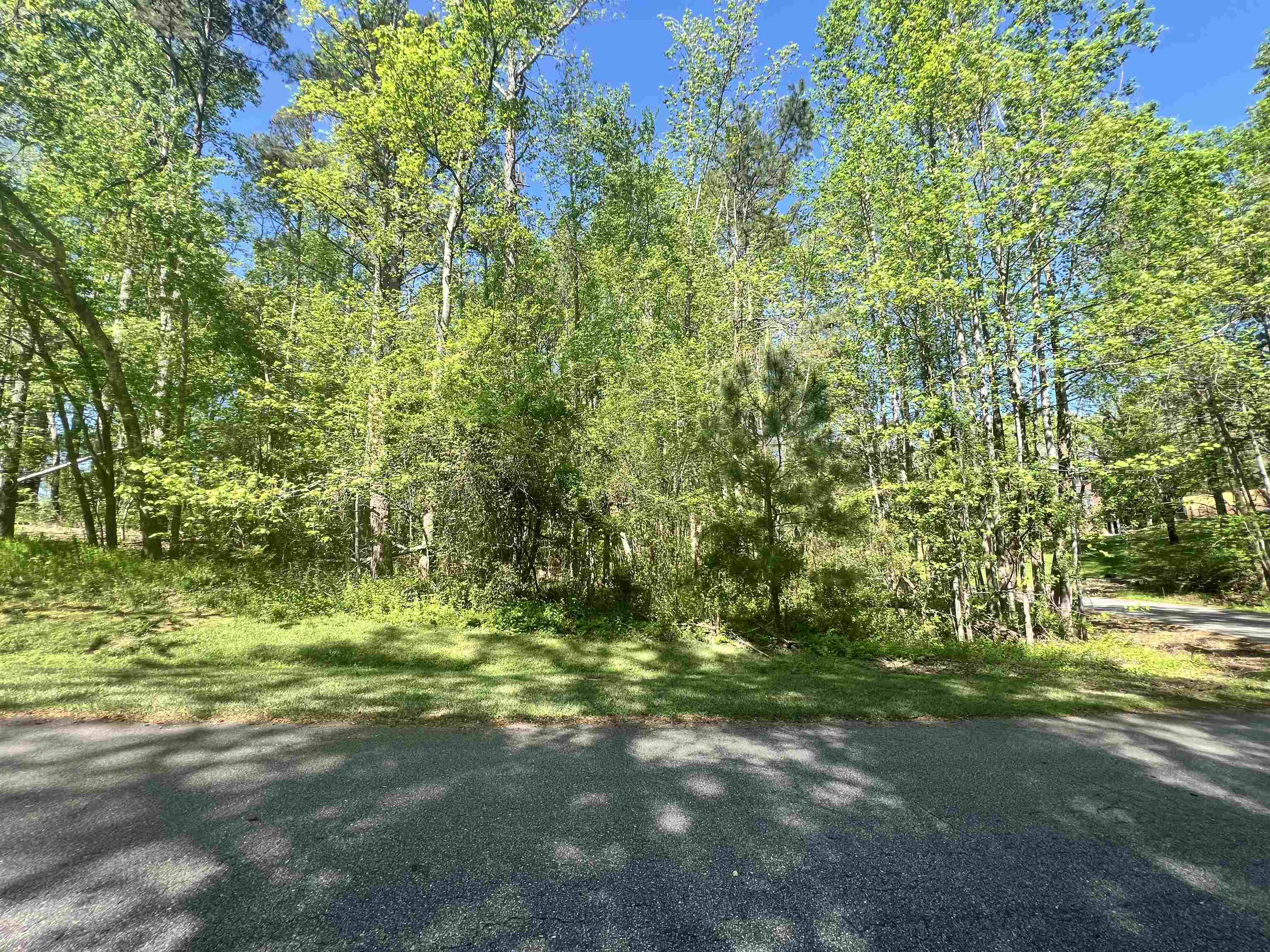Hampton Boulevard, Gaffney, South Carolina image 6