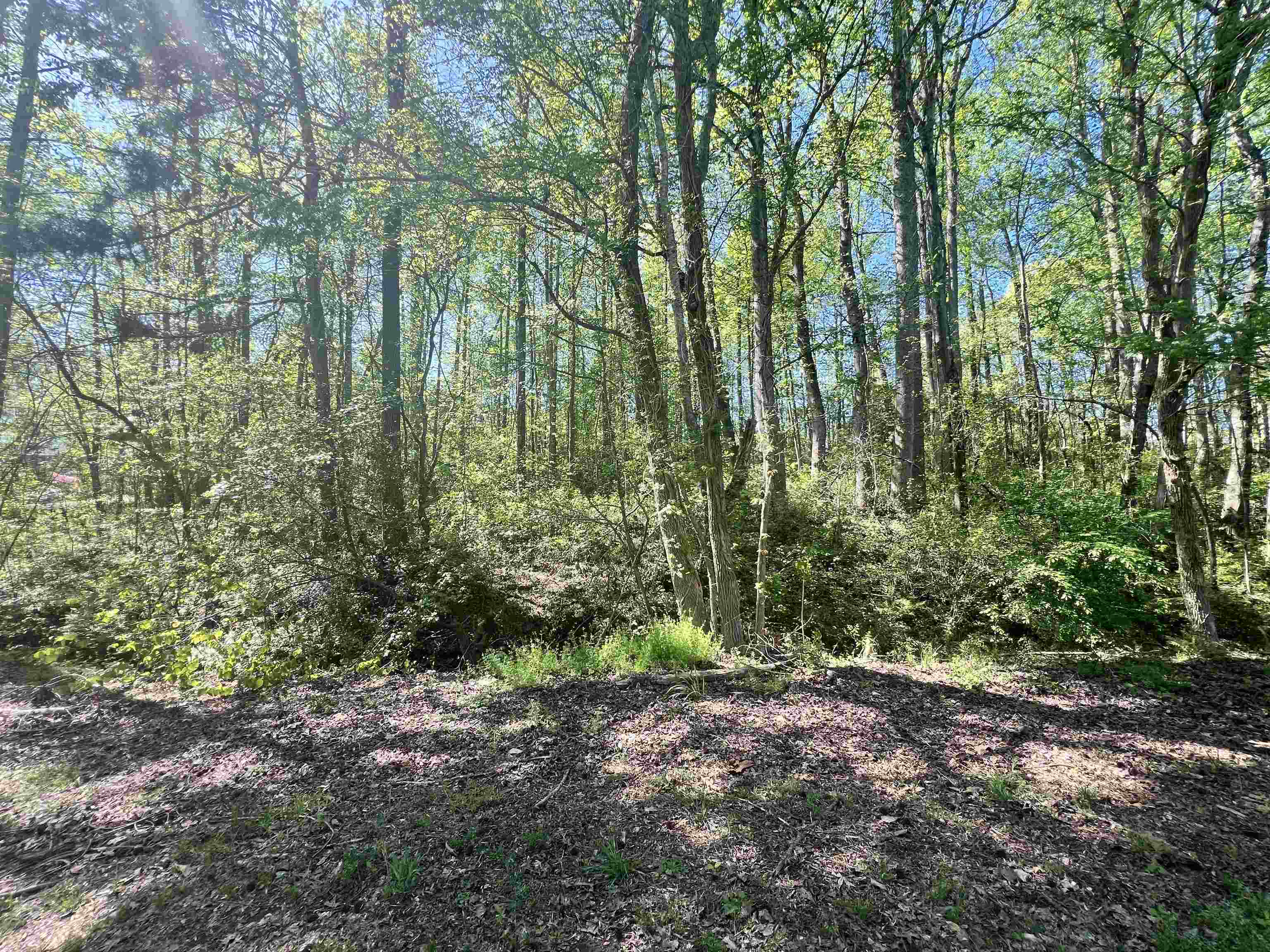 Hampton Boulevard, Gaffney, South Carolina image 9