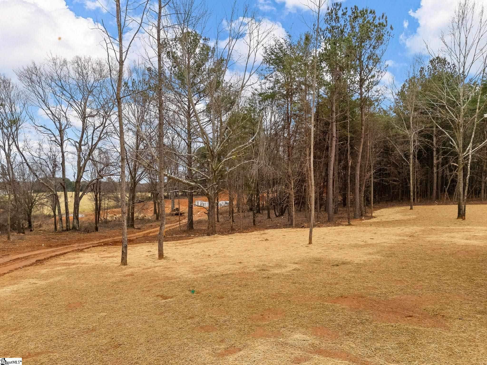 351 Little Mountain Circle, Inman, South Carolina image 36