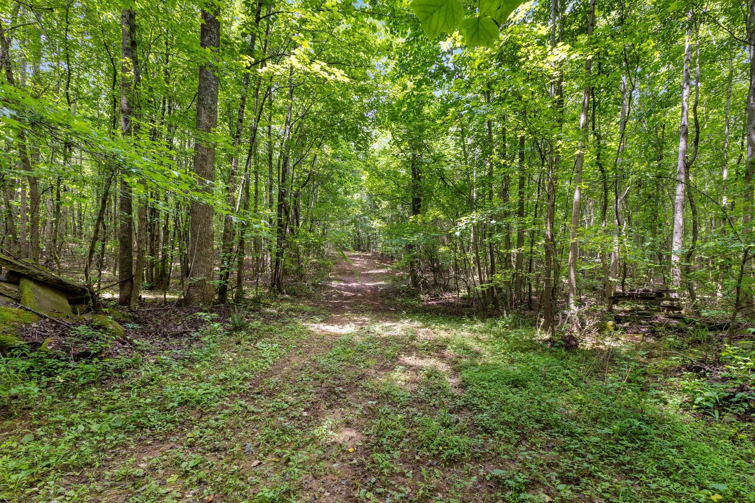 1295 Twin Bridge Road, Gaffney, South Carolina image 36