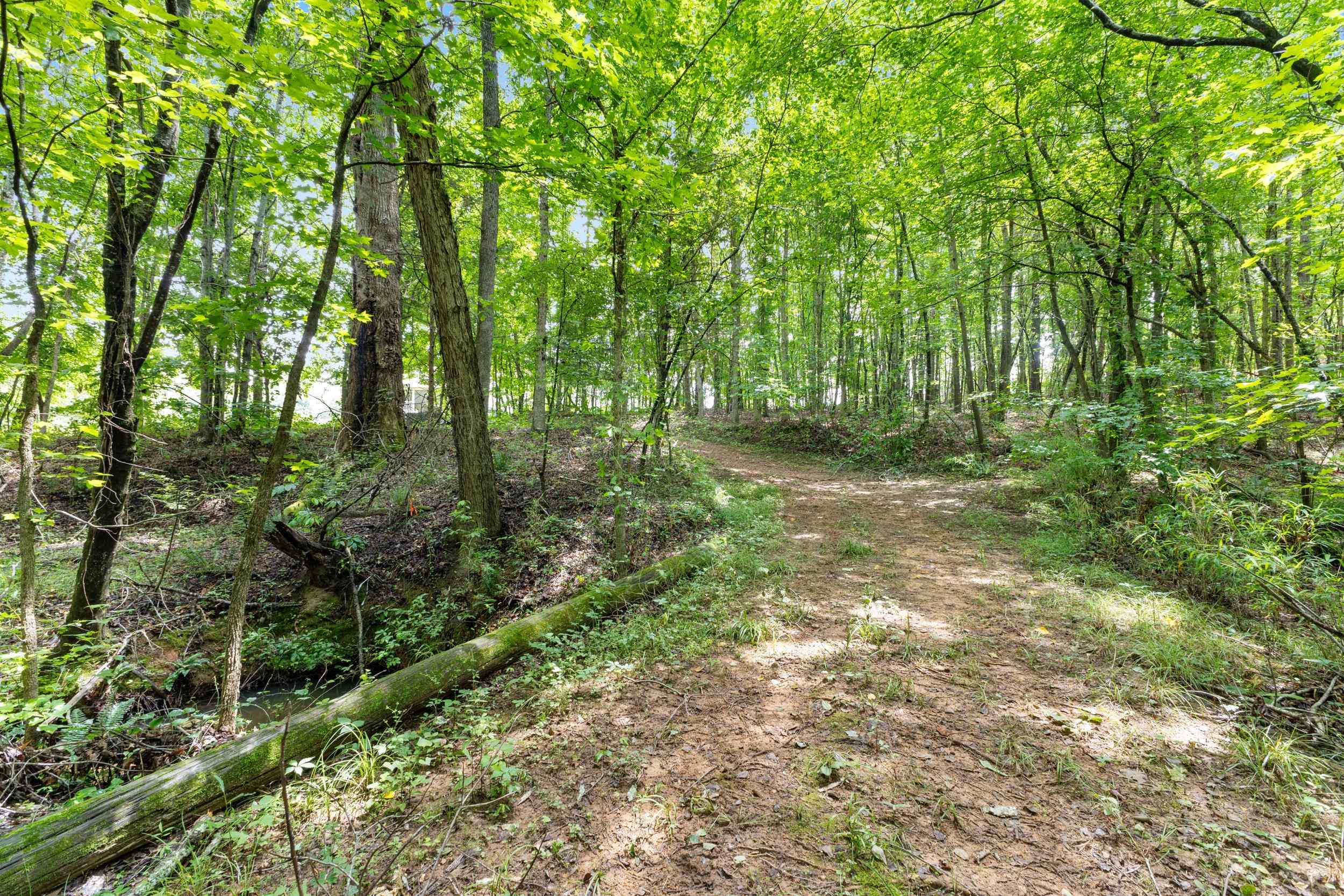 1295 Twin Bridge Road, Gaffney, South Carolina image 33