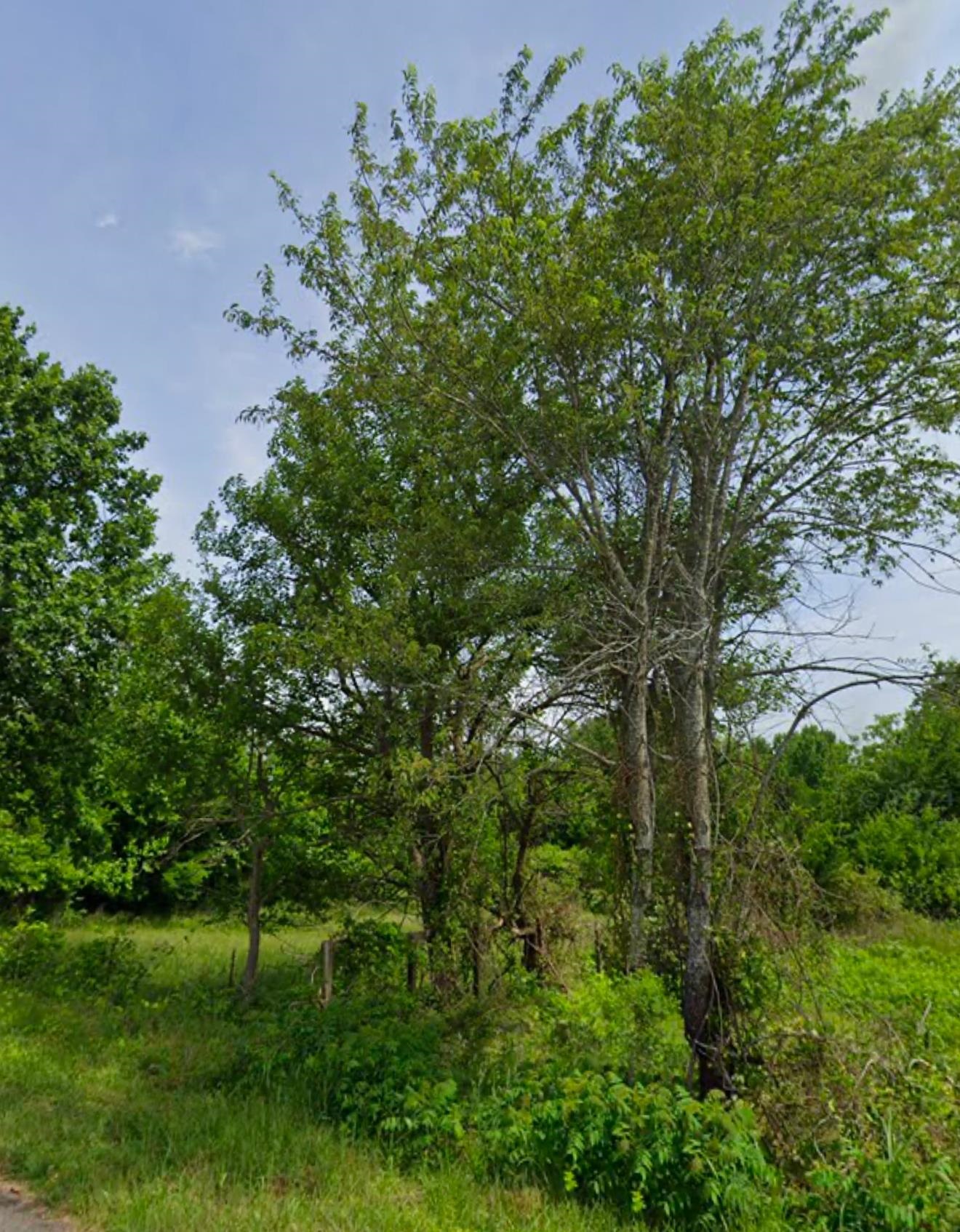 Carolina Ridge Road (lots 10 & 11), Gaffney, South Carolina image 5