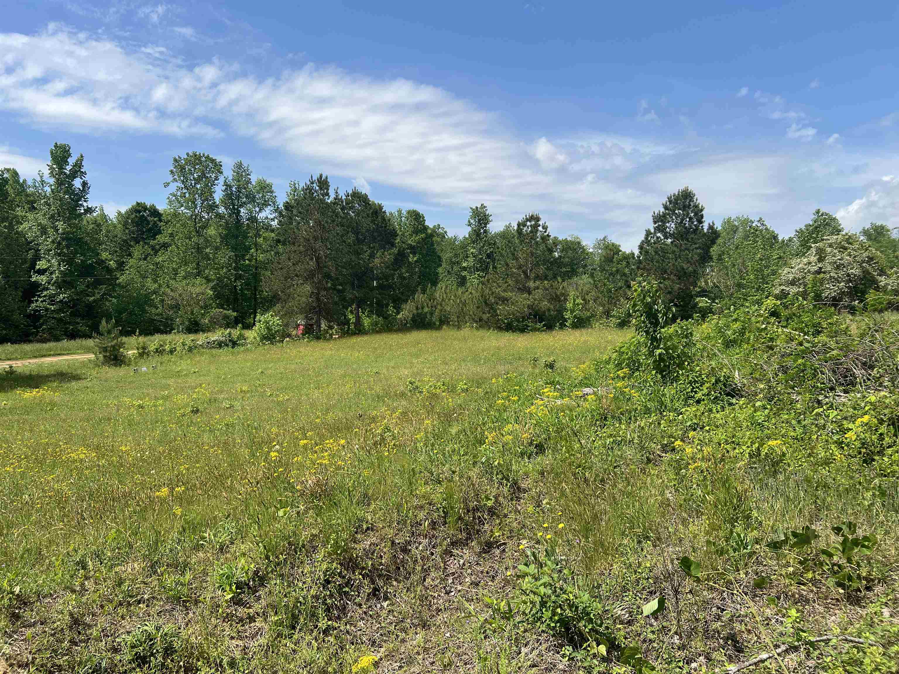 498 Biblebrook Drive, Greer, South Carolina image 5