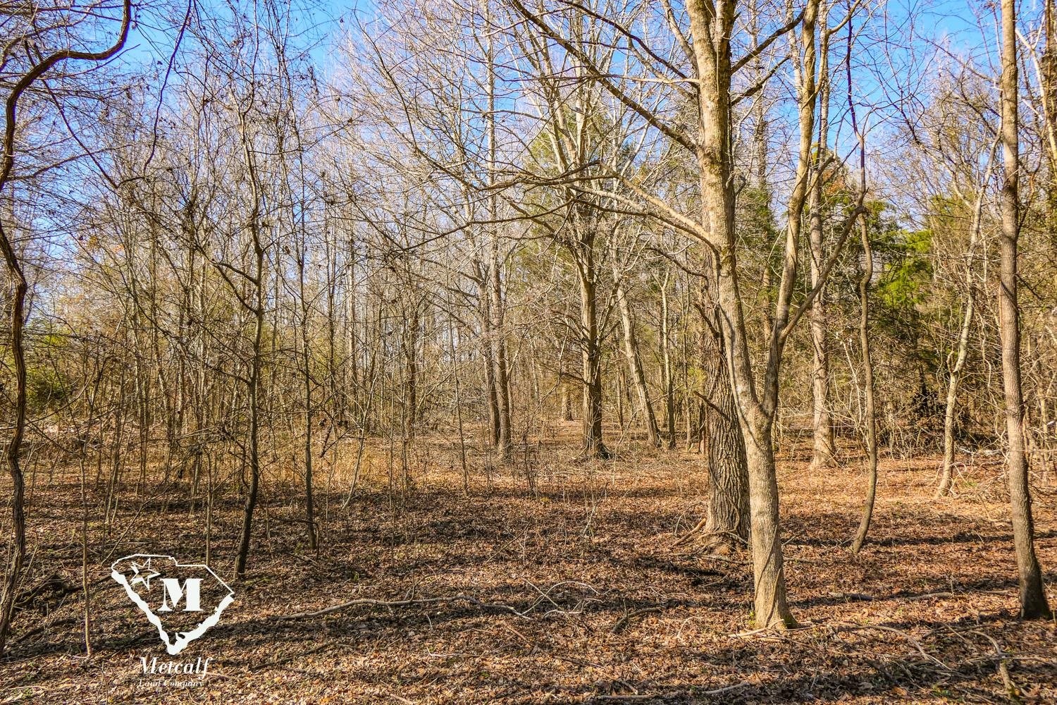 Walker Road, Woodruff, South Carolina image 3