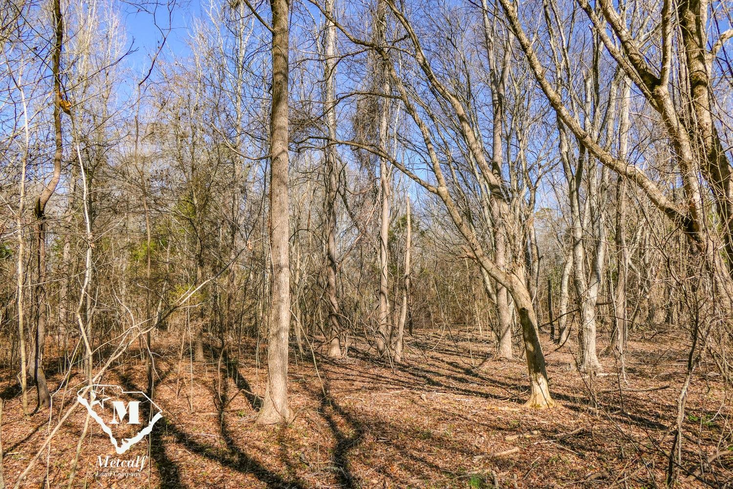 Walker Road, Woodruff, South Carolina image 5