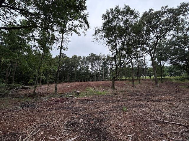 Peachview Boulevard, Gaffney, South Carolina image 7