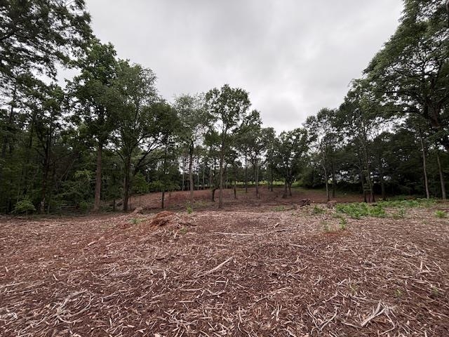 Peachview Boulevard, Gaffney, South Carolina image 12