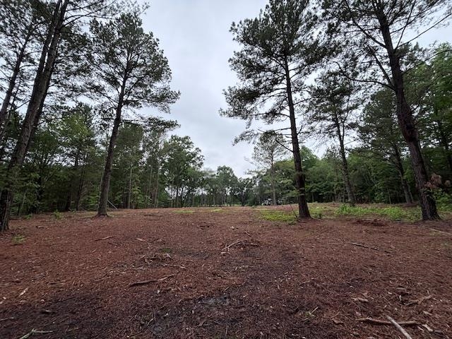 Peachview Boulevard, Gaffney, South Carolina image 9