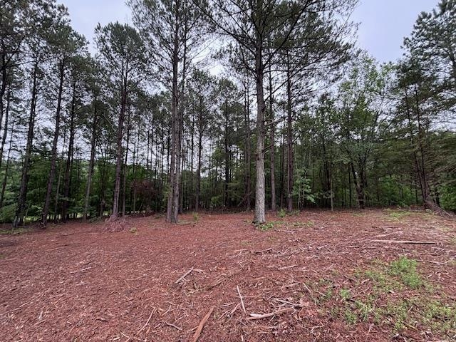 Peachview Boulevard, Gaffney, South Carolina image 10