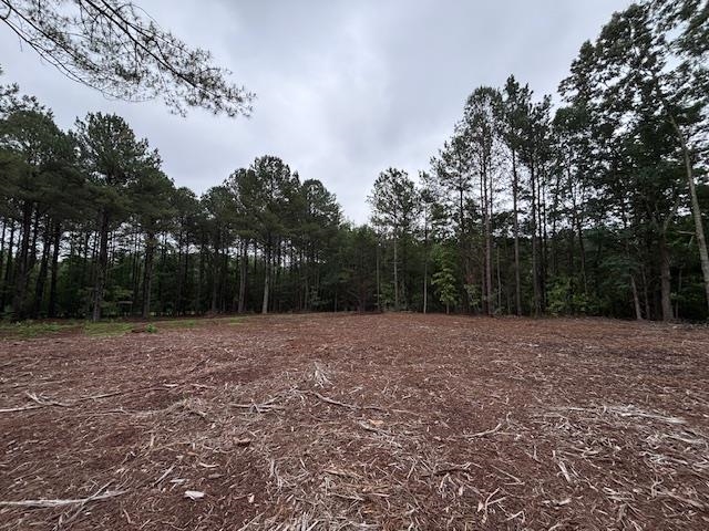 Peachview Boulevard, Gaffney, South Carolina image 13