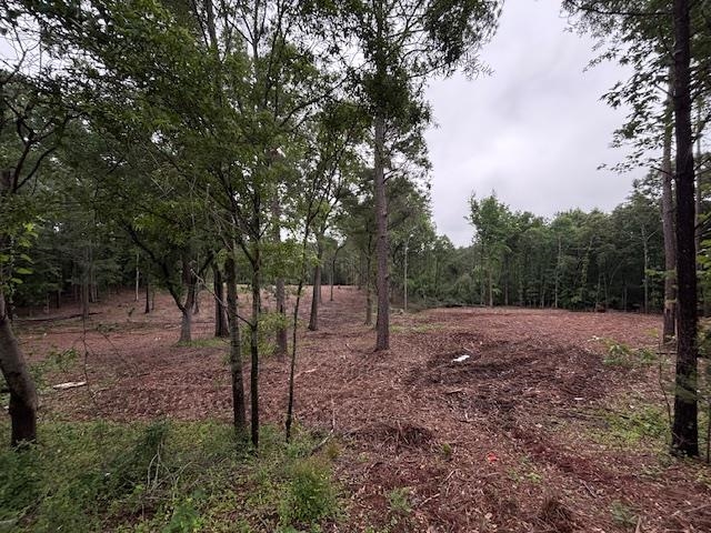 Peachview Boulevard, Gaffney, South Carolina image 15