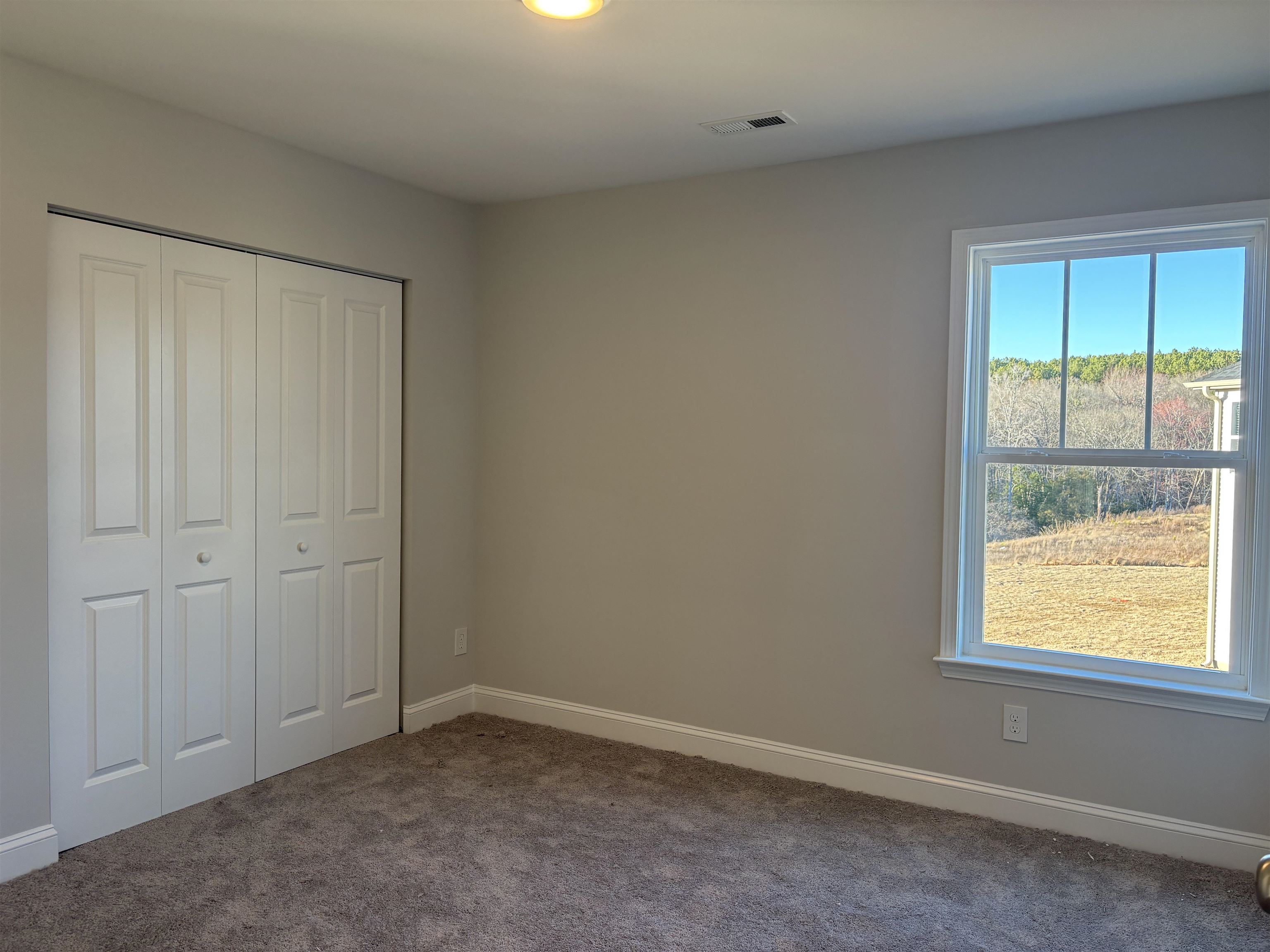 6062 Peregrine Lane, Greer, South Carolina image 9