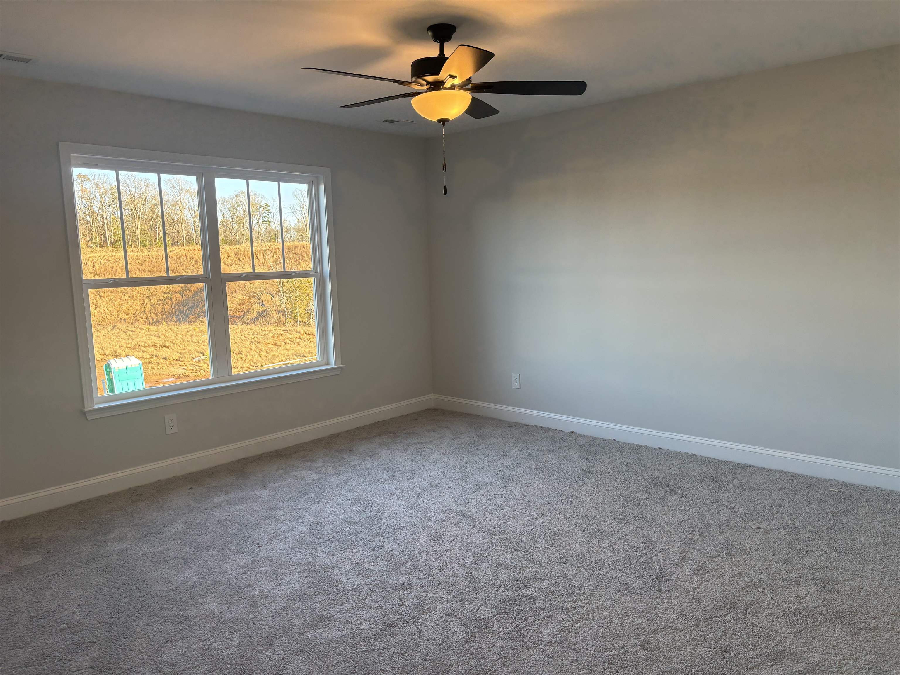 6062 Peregrine Lane, Greer, South Carolina image 6