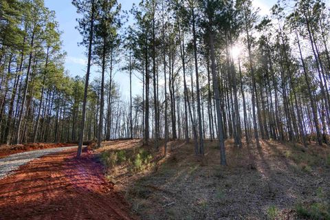 Vacant Land For Sale - 4063 Old Georgia Hwy<br/> Cowpens, SC 29330