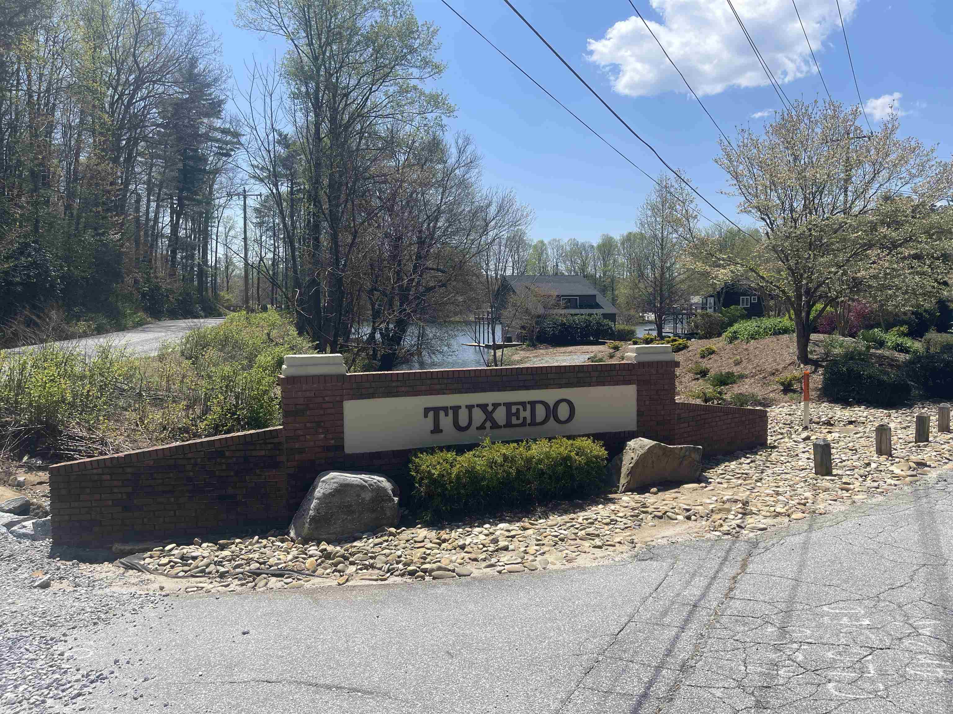 248 Camp Windy Wood Road, Tuxedo, North Carolina image 4