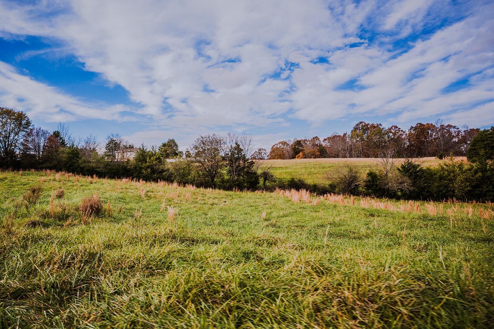 Perrine Road, Gaffney, South Carolina image 11