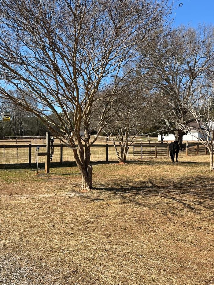 106 Englewood Drive, Inman, South Carolina image 7