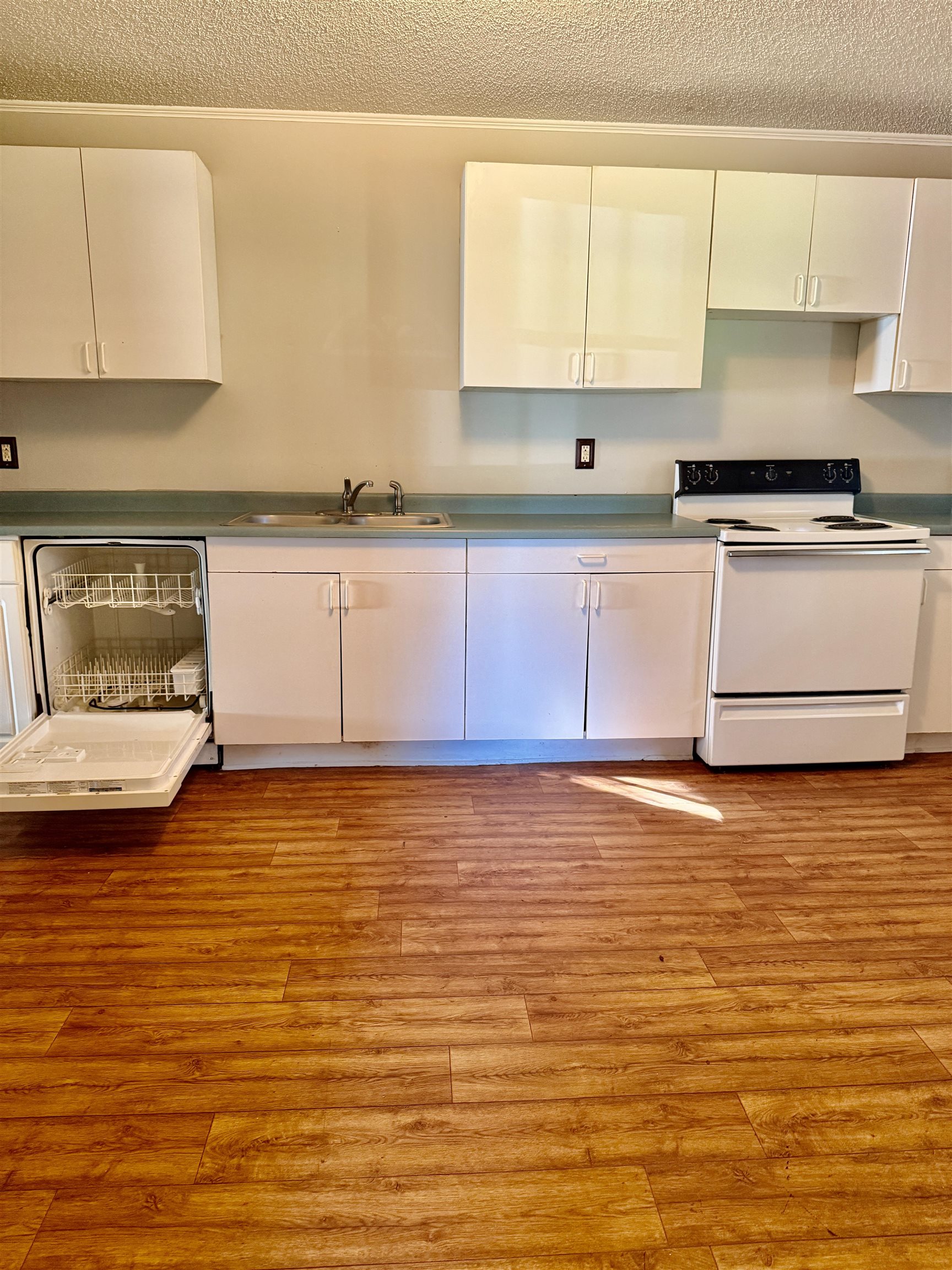 230 Spring St St, Spartanburg, South Carolina image 7