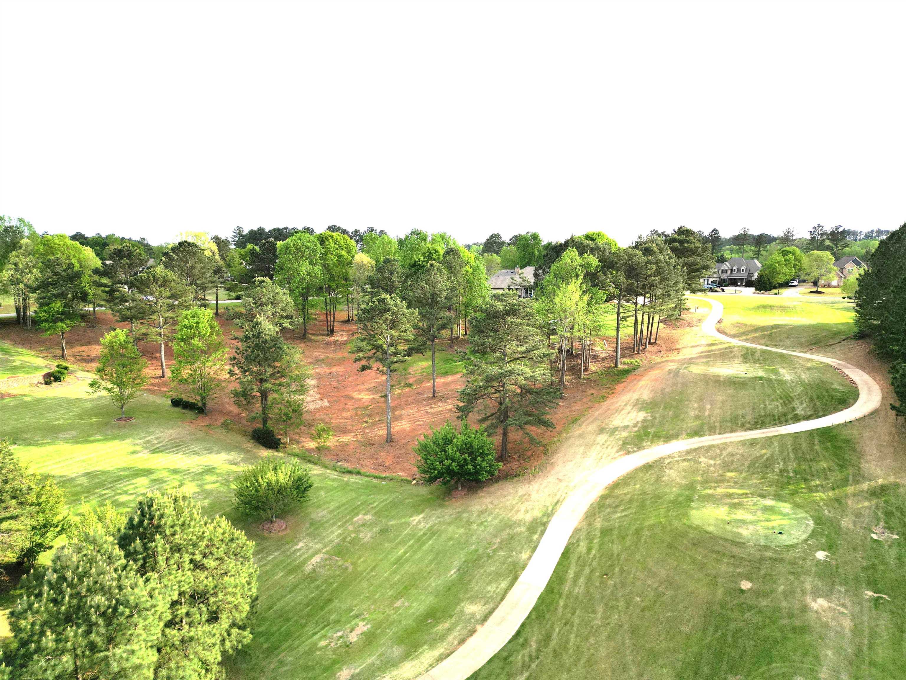 725 E Long Bay Drive, Inman, South Carolina image 5