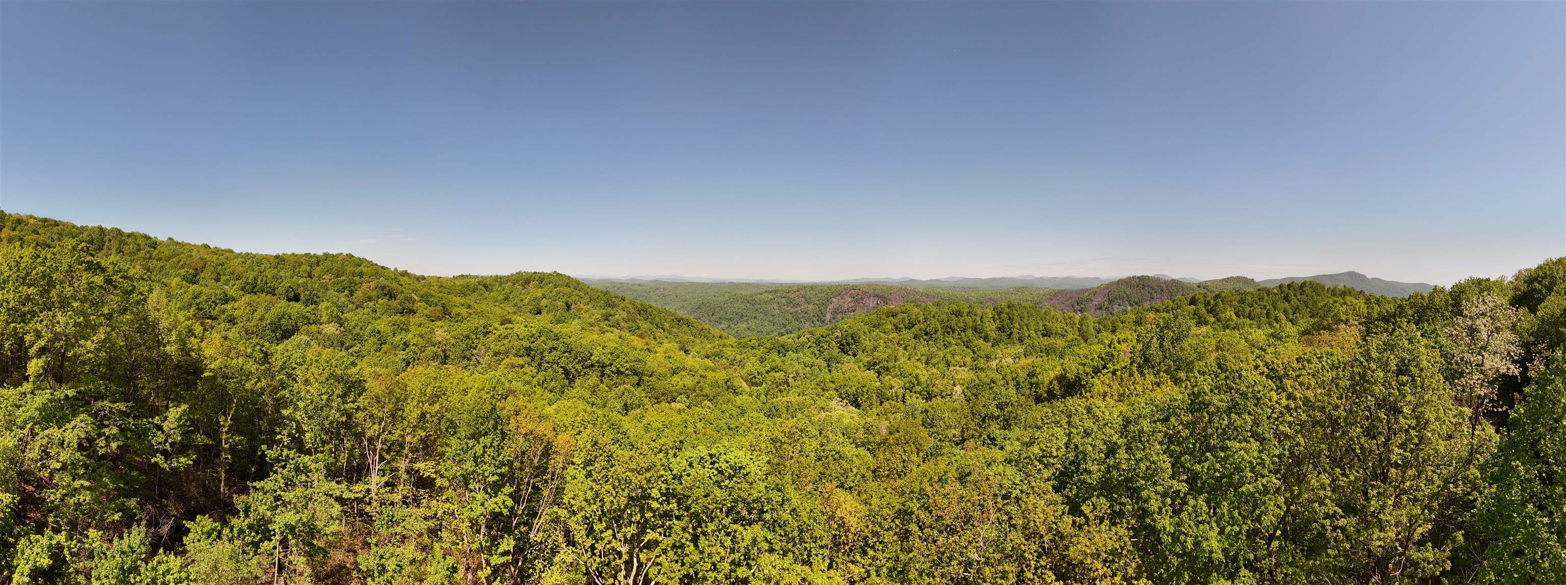 25 Little Falls Drive, Tryon, North Carolina image 41
