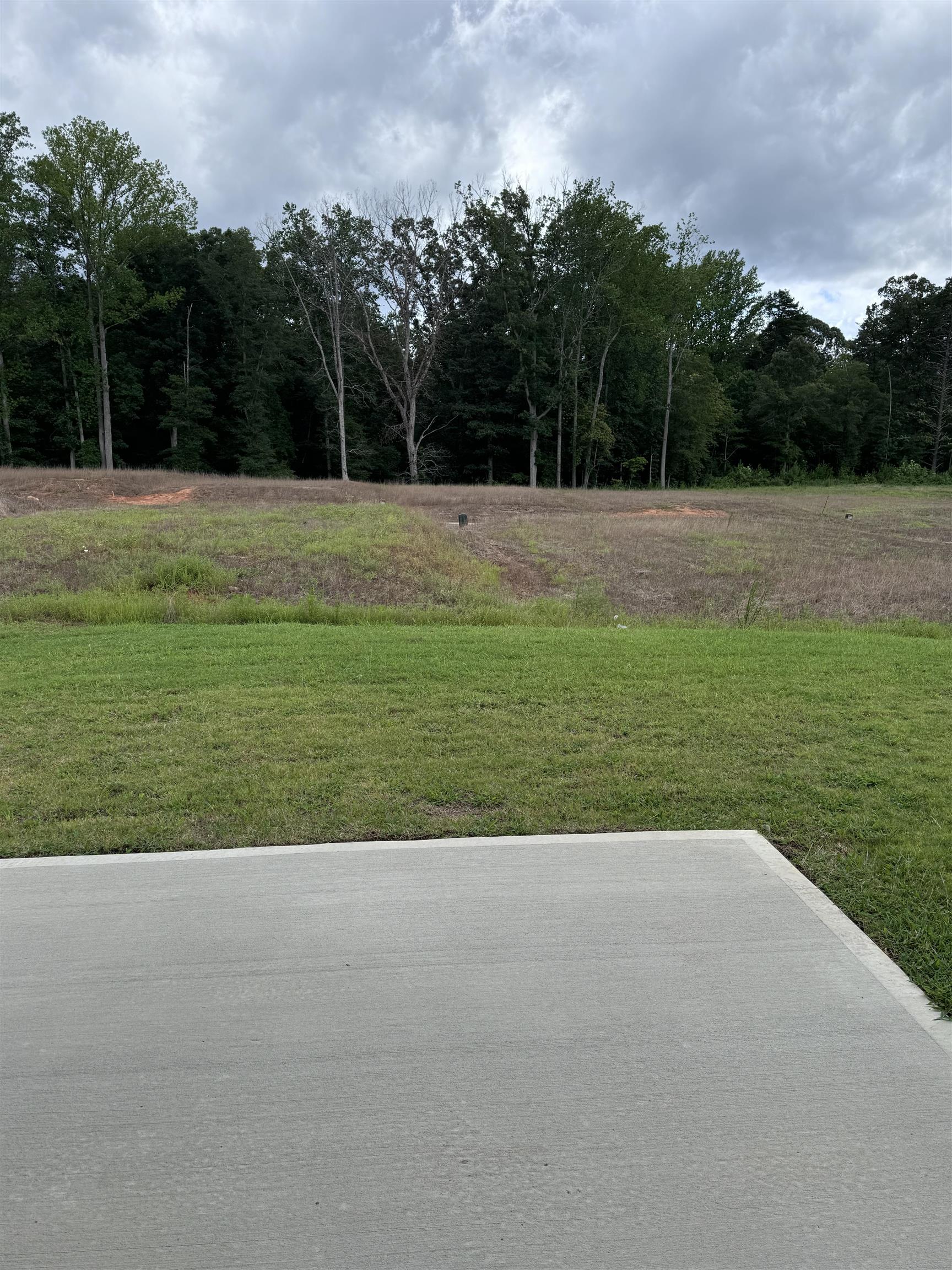 1132 Denington Drive, Spartanburg, South Carolina image 25