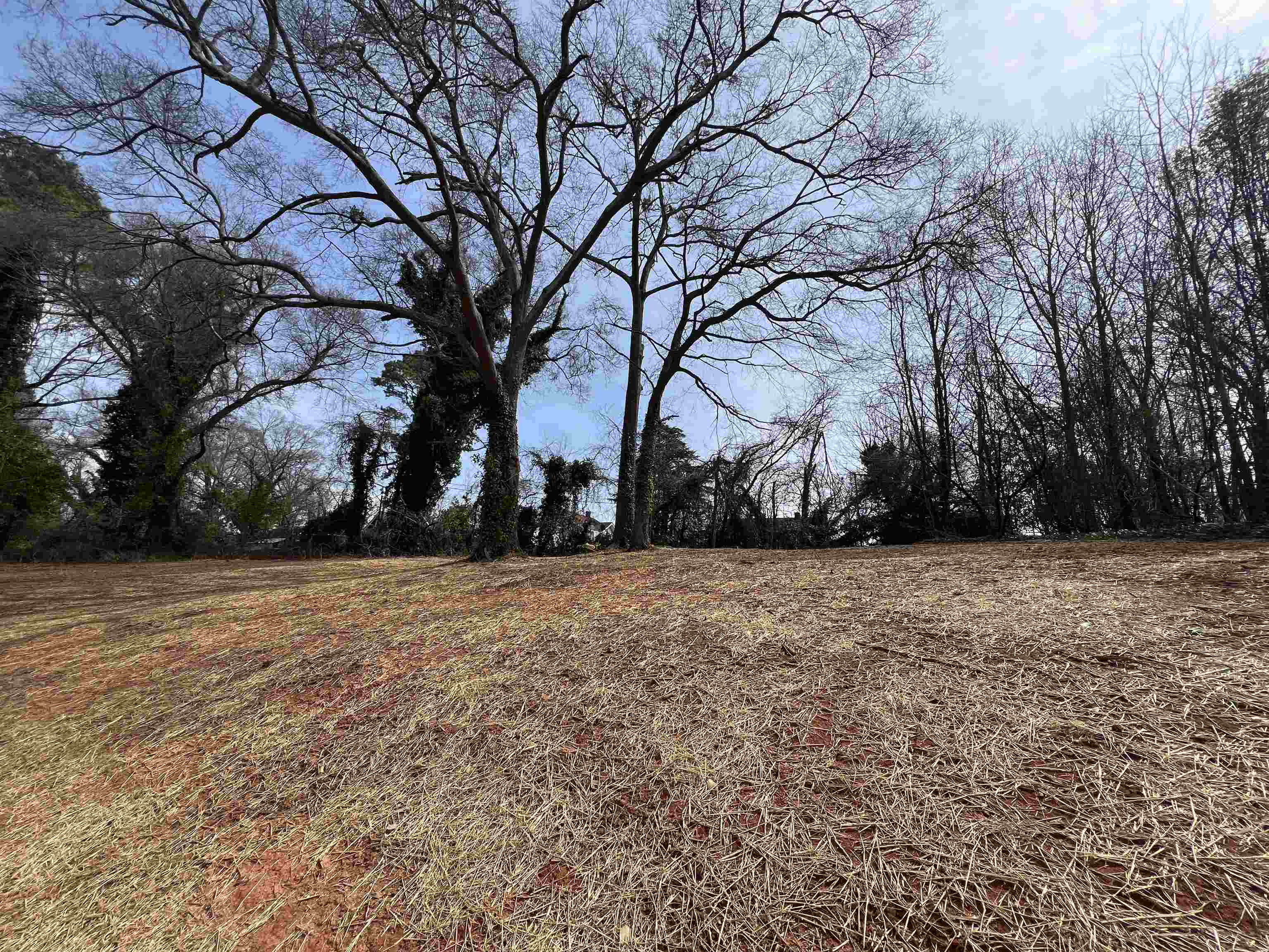 663 Old Whitney Road, Spartanburg, South Carolina image 21