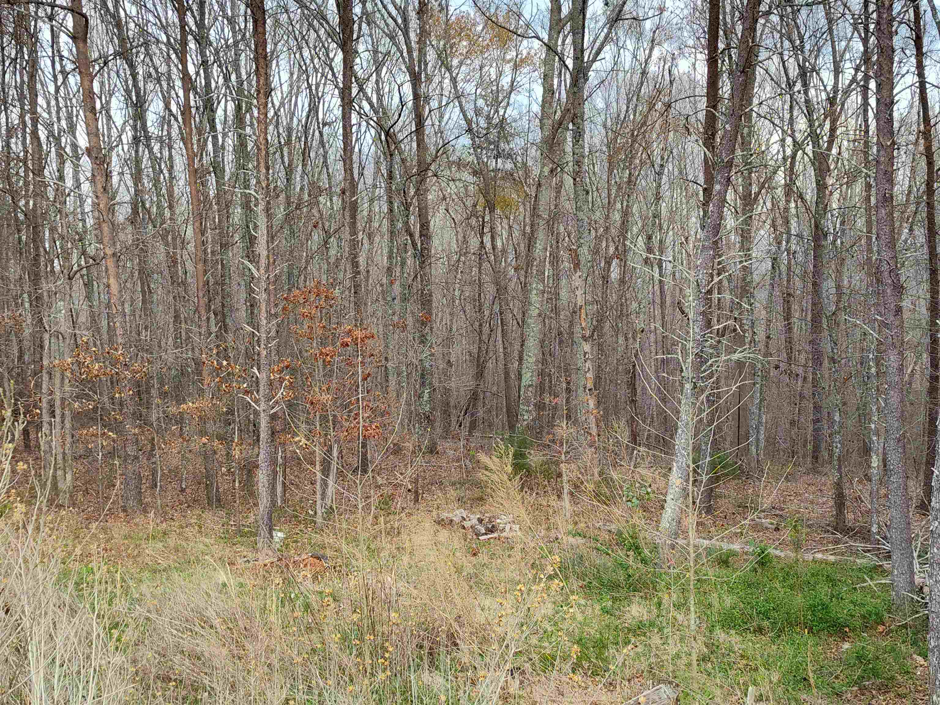 532 Seng Pao Dr. Dr, Campobello, South Carolina image 10