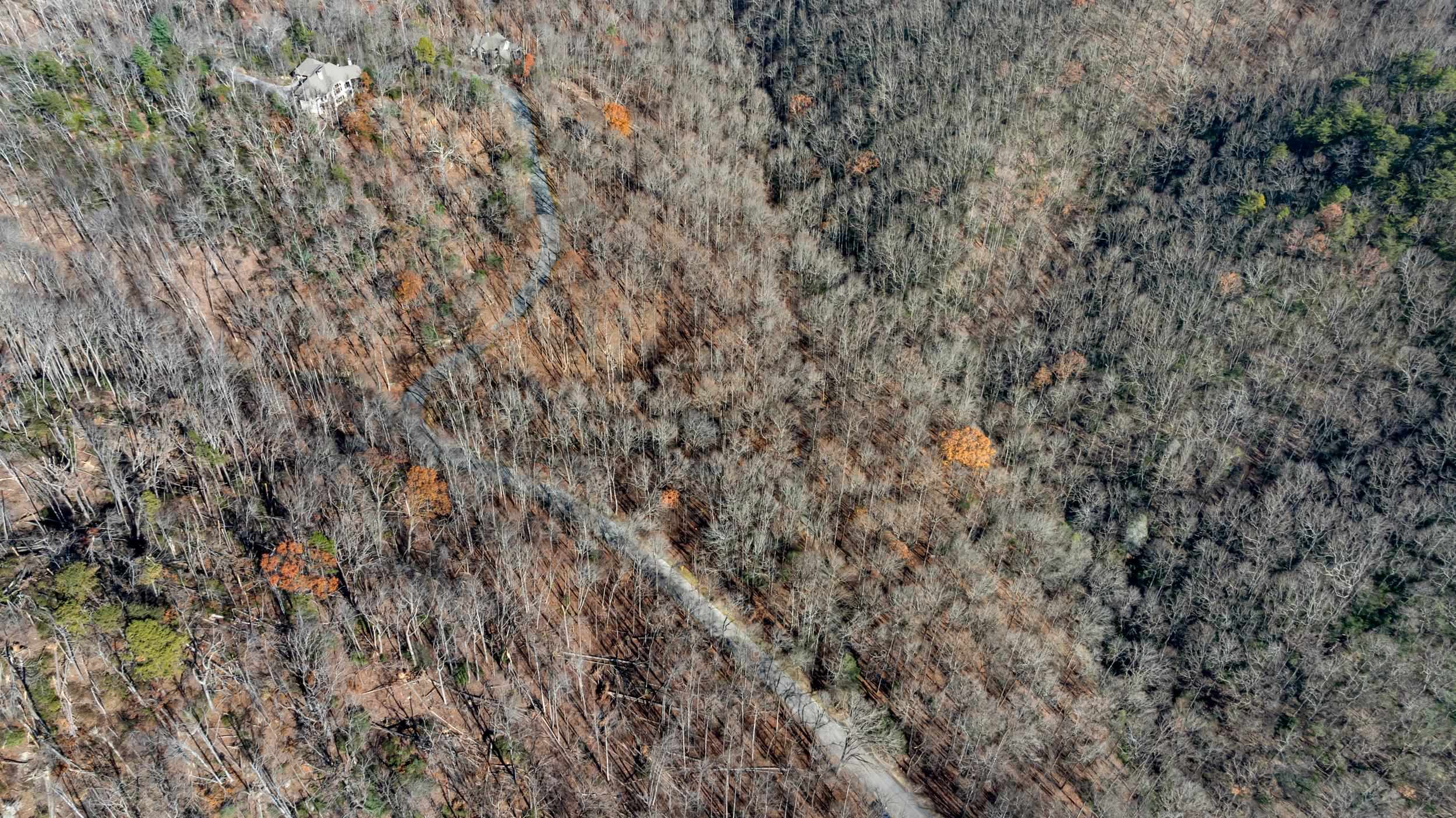00 Panther Park Trail, Travelers Rest, South Carolina image 11