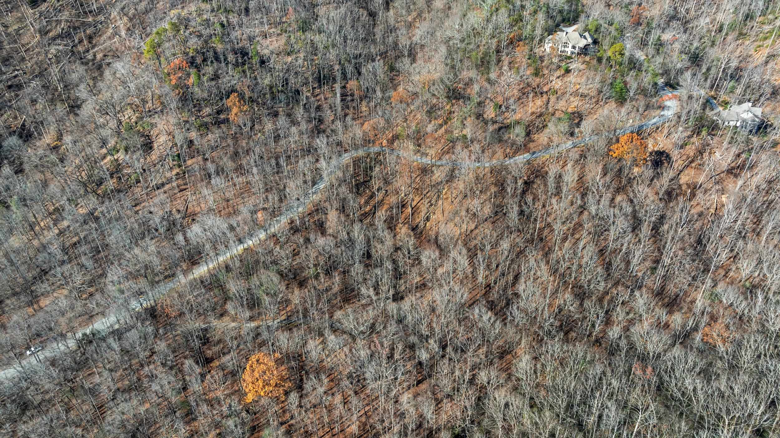 00 Panther Park Trail, Travelers Rest, South Carolina image 2