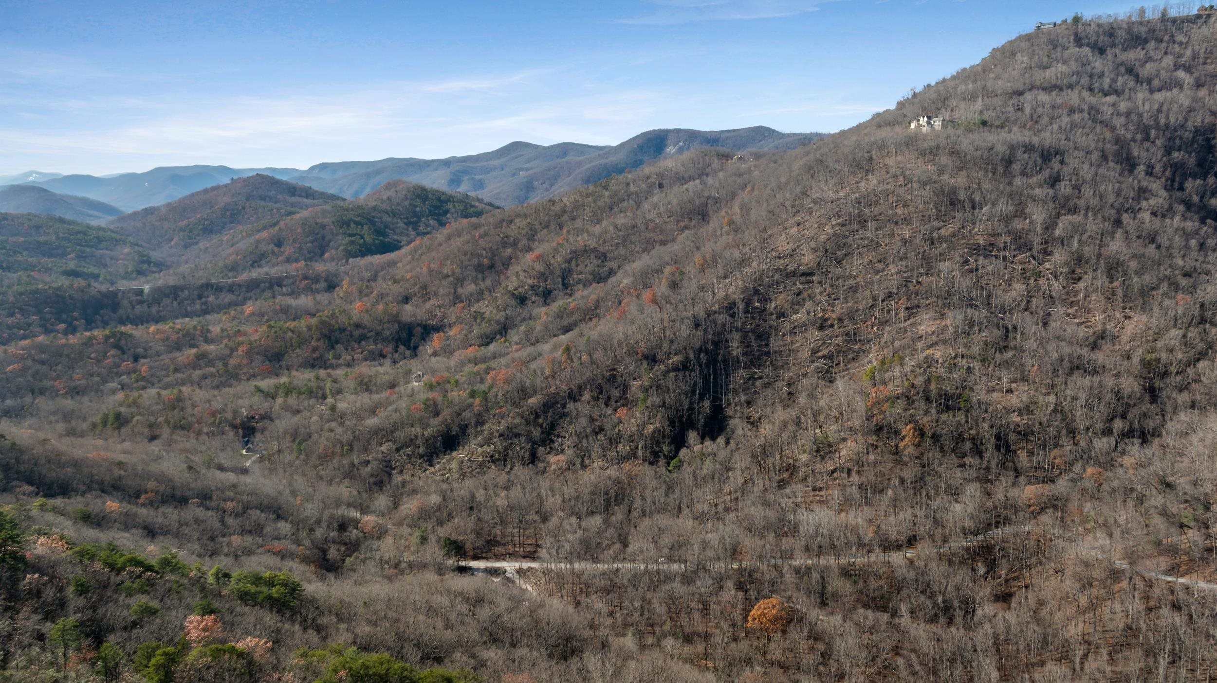 00 Panther Park Trail, Travelers Rest, South Carolina image 20