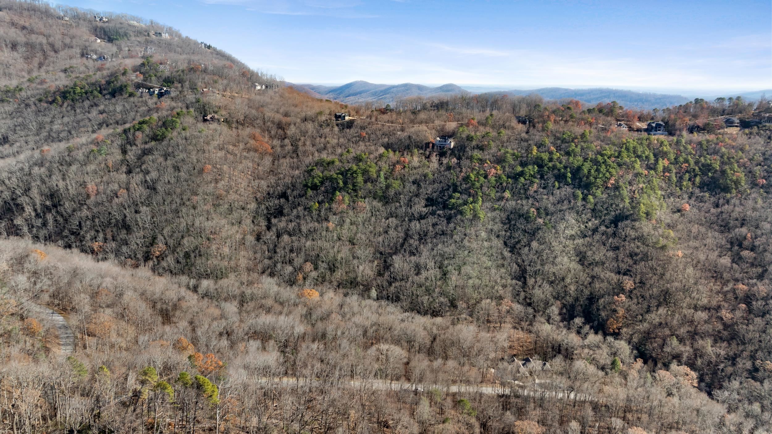 00 Panther Park Trail, Travelers Rest, South Carolina image 17