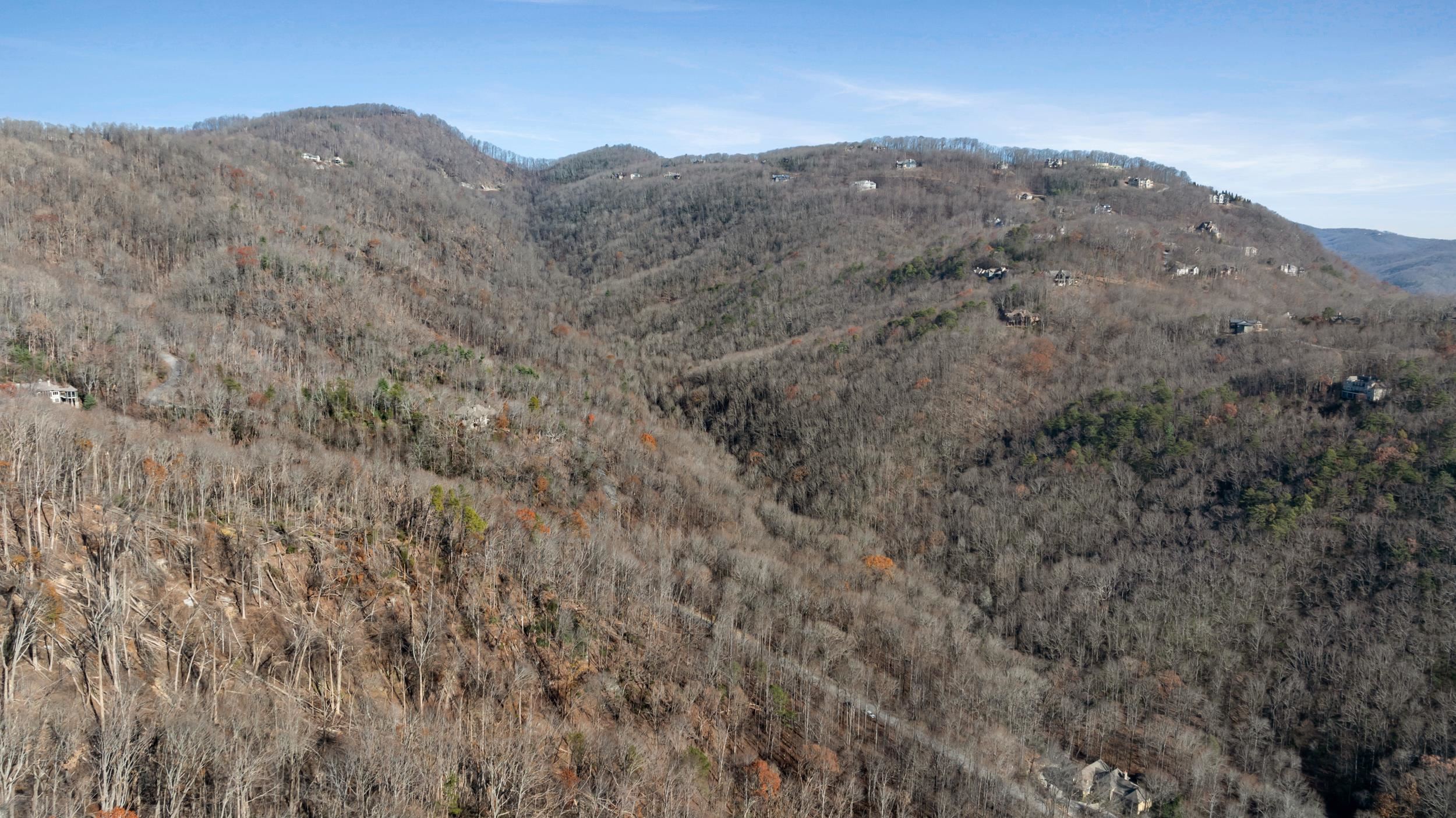 00 Panther Park Trail, Travelers Rest, South Carolina image 18