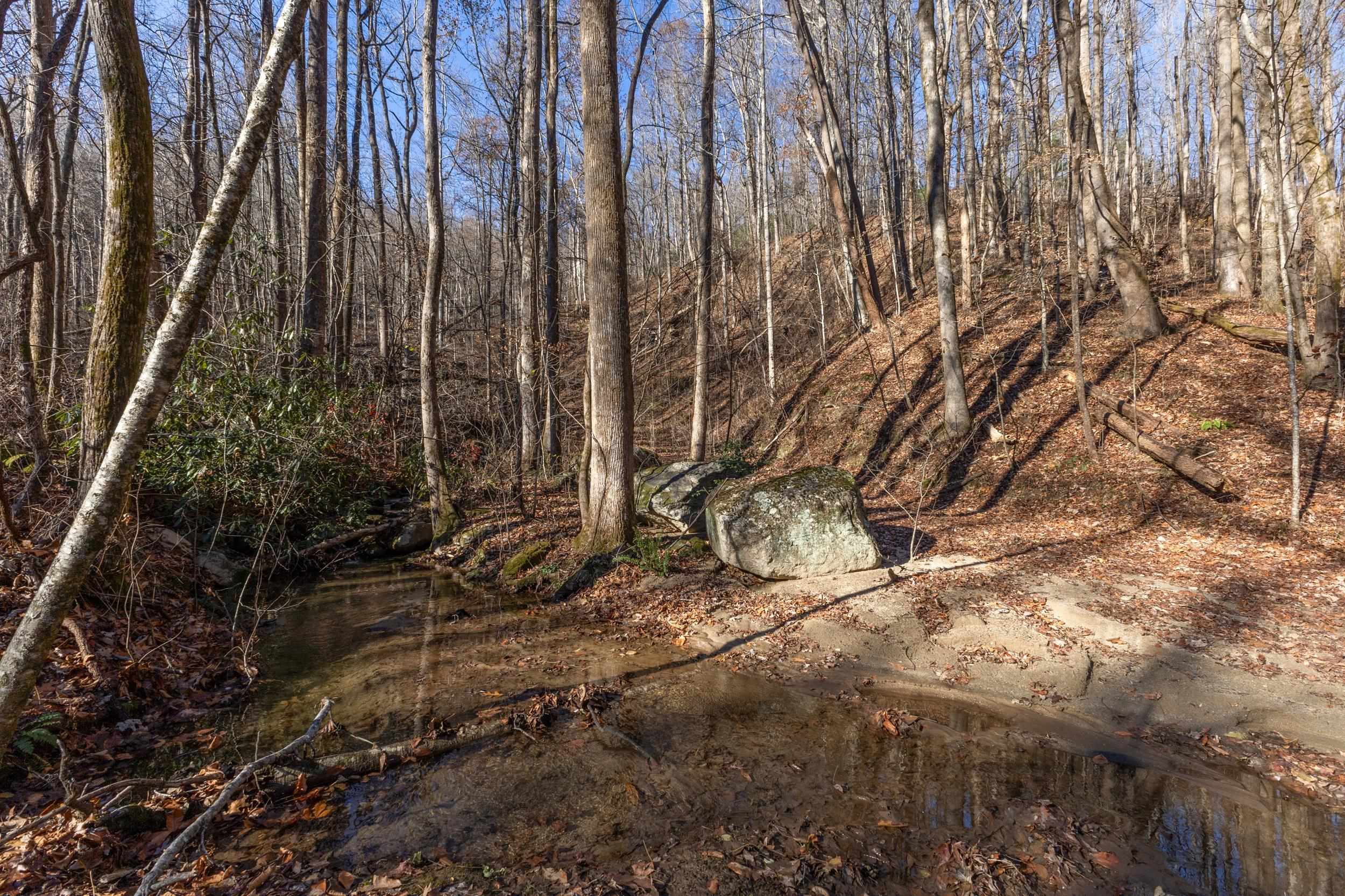 00 Panther Park Trail, Travelers Rest, South Carolina image 22