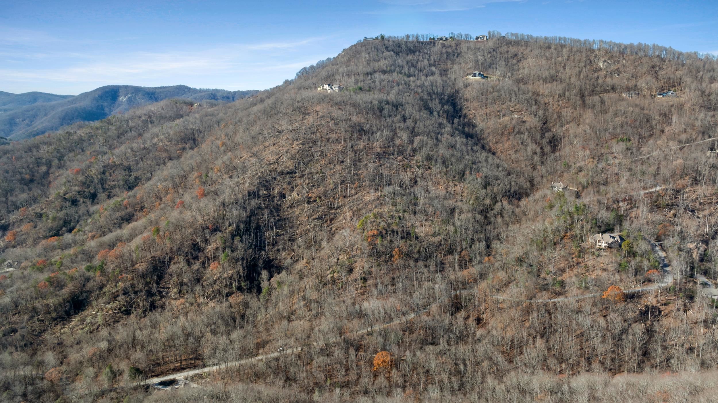 00 Panther Park Trail, Travelers Rest, South Carolina image 19