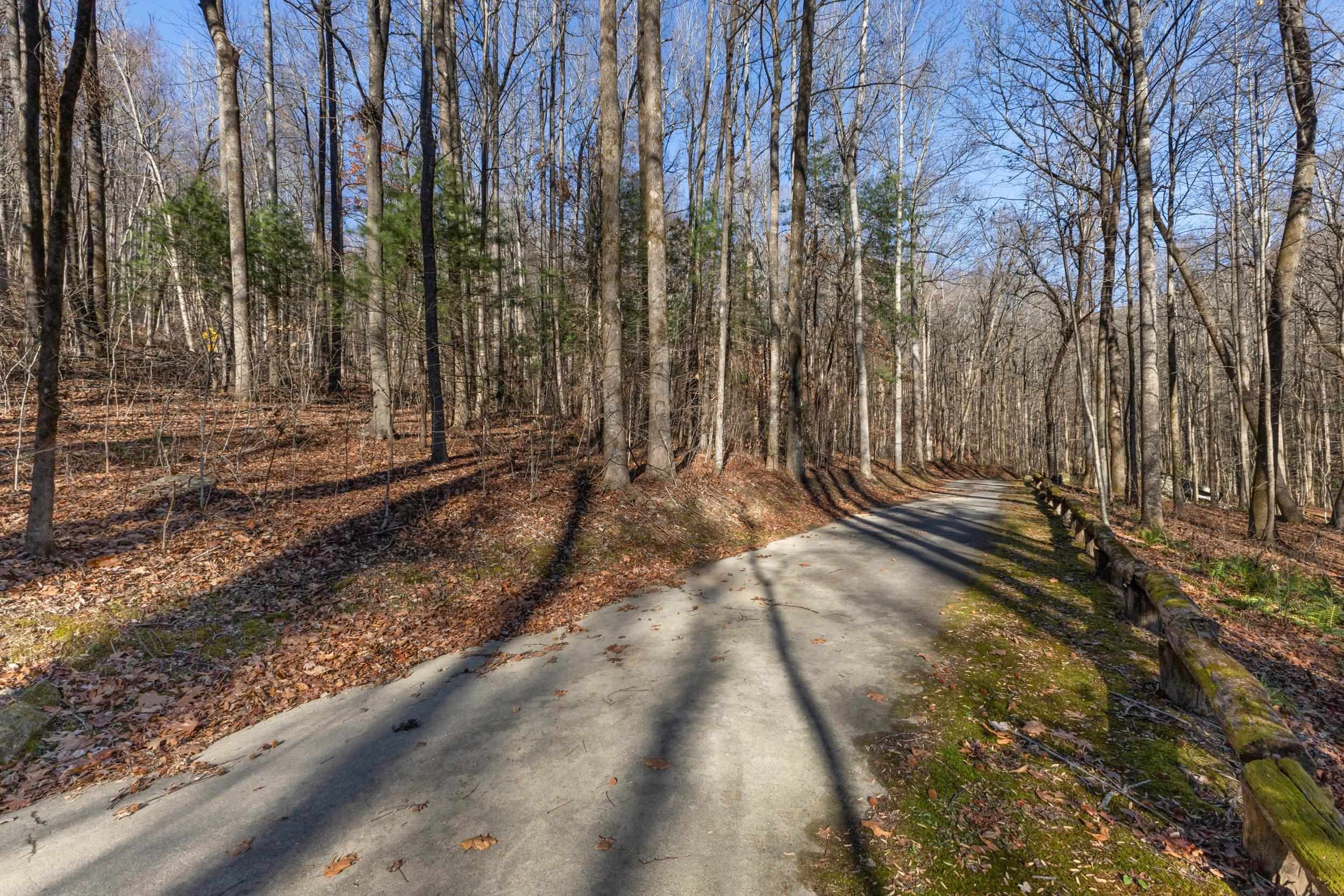 00 Panther Park Trail, Travelers Rest, South Carolina image 21