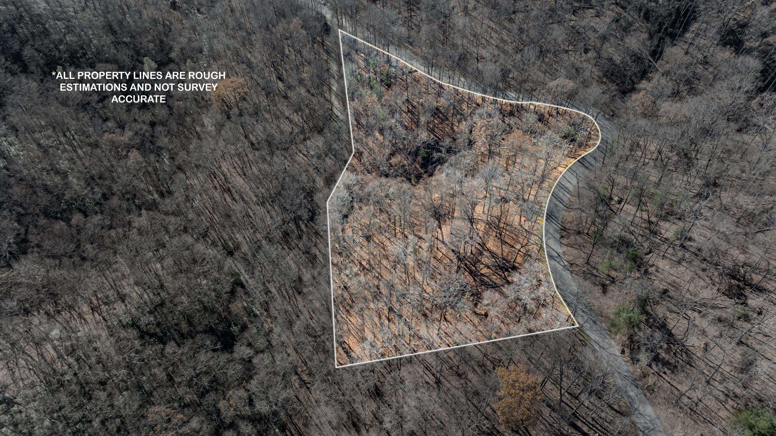 00 Panther Park Trail, Travelers Rest, South Carolina image 8