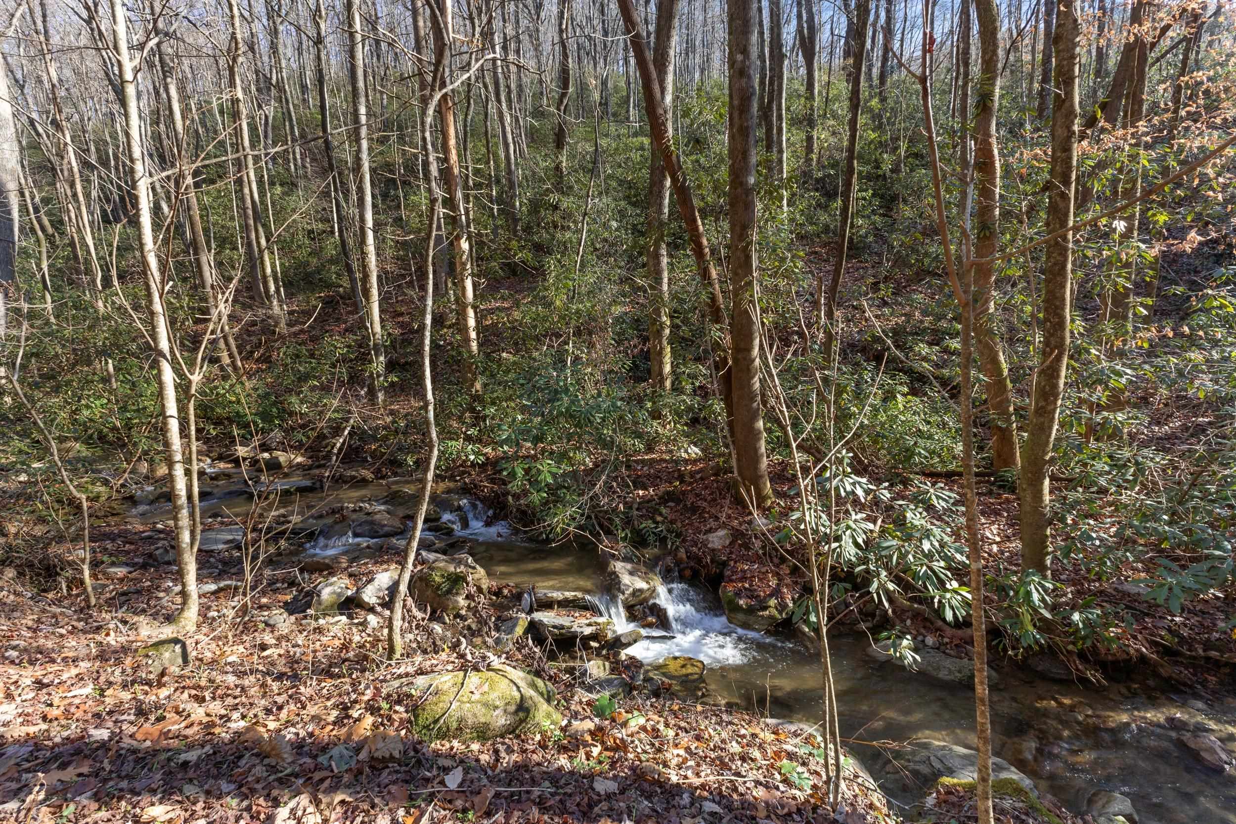 00 Panther Park Trail, Travelers Rest, South Carolina image 5