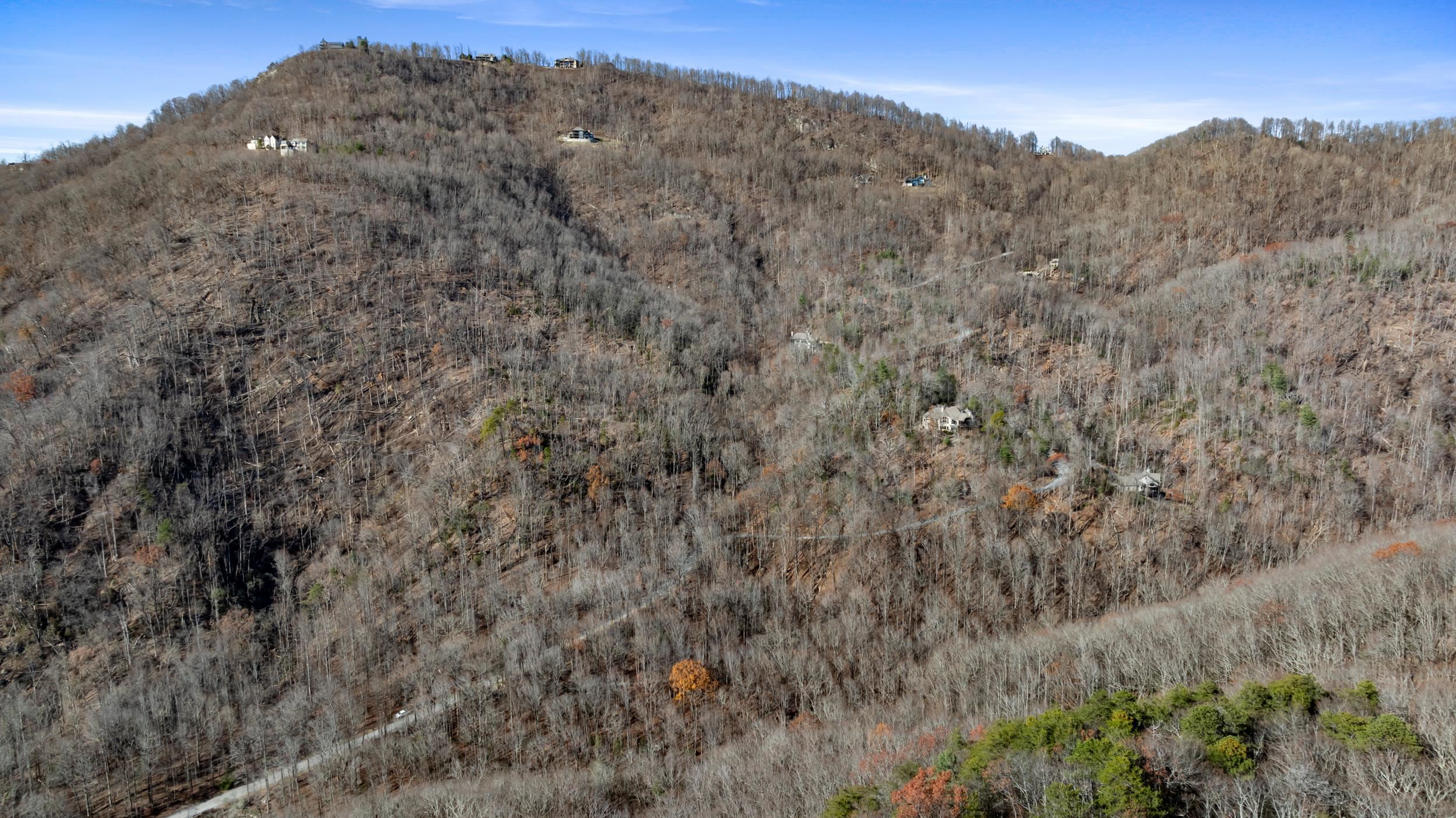 00 Panther Park Trail, Travelers Rest, South Carolina image 3