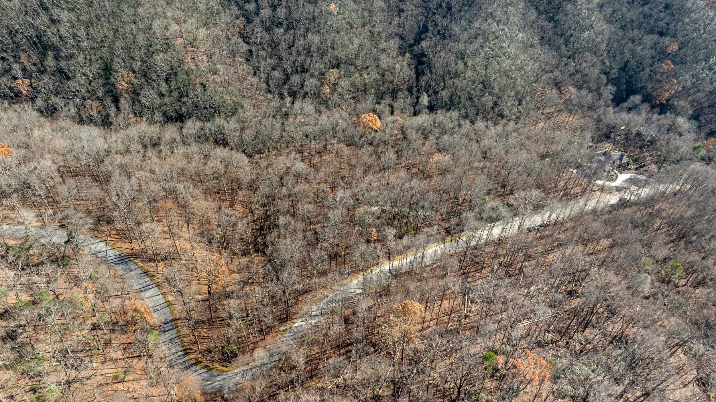00 Panther Park Trail, Travelers Rest, South Carolina image 12