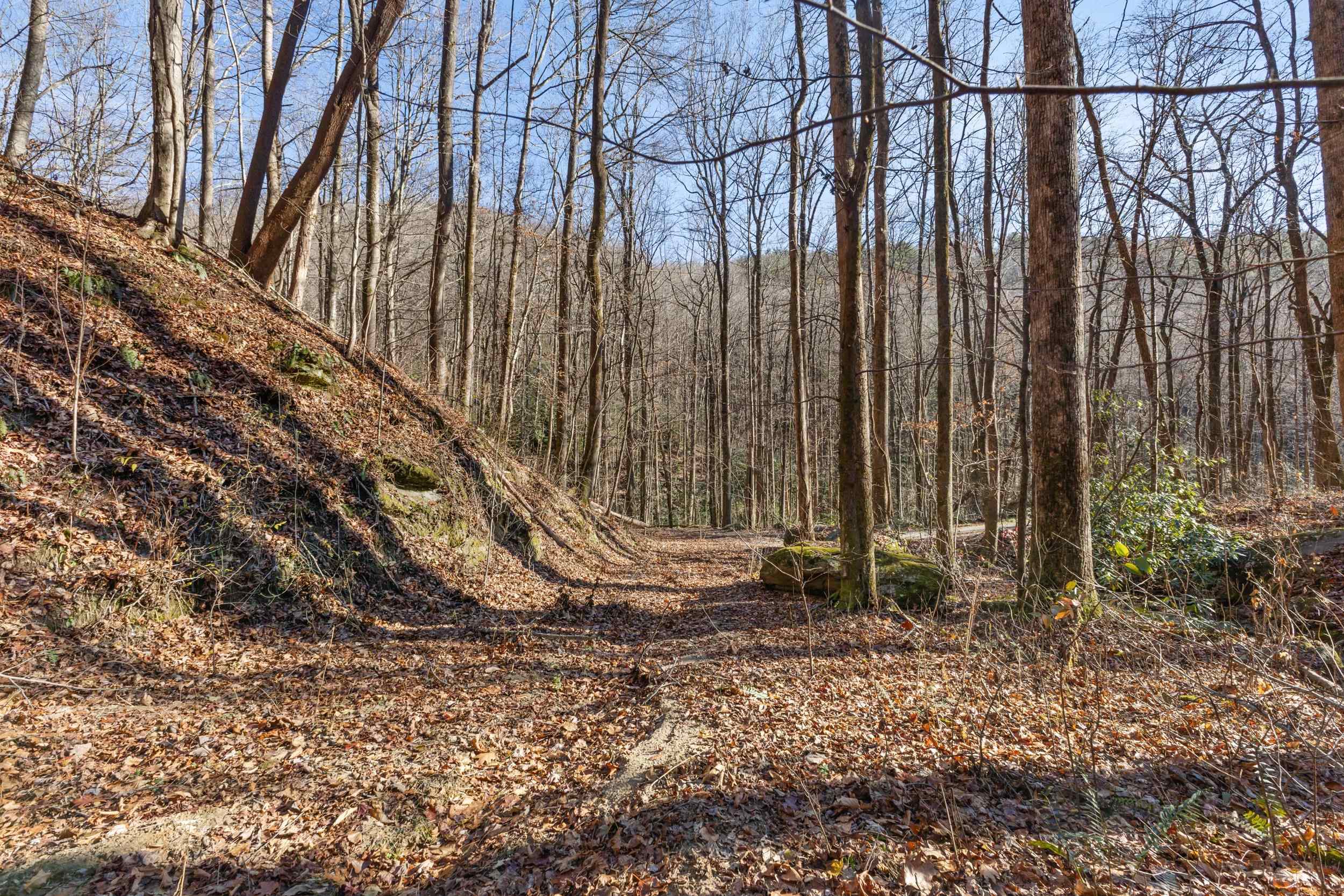 00 Panther Park Trail, Travelers Rest, South Carolina image 23