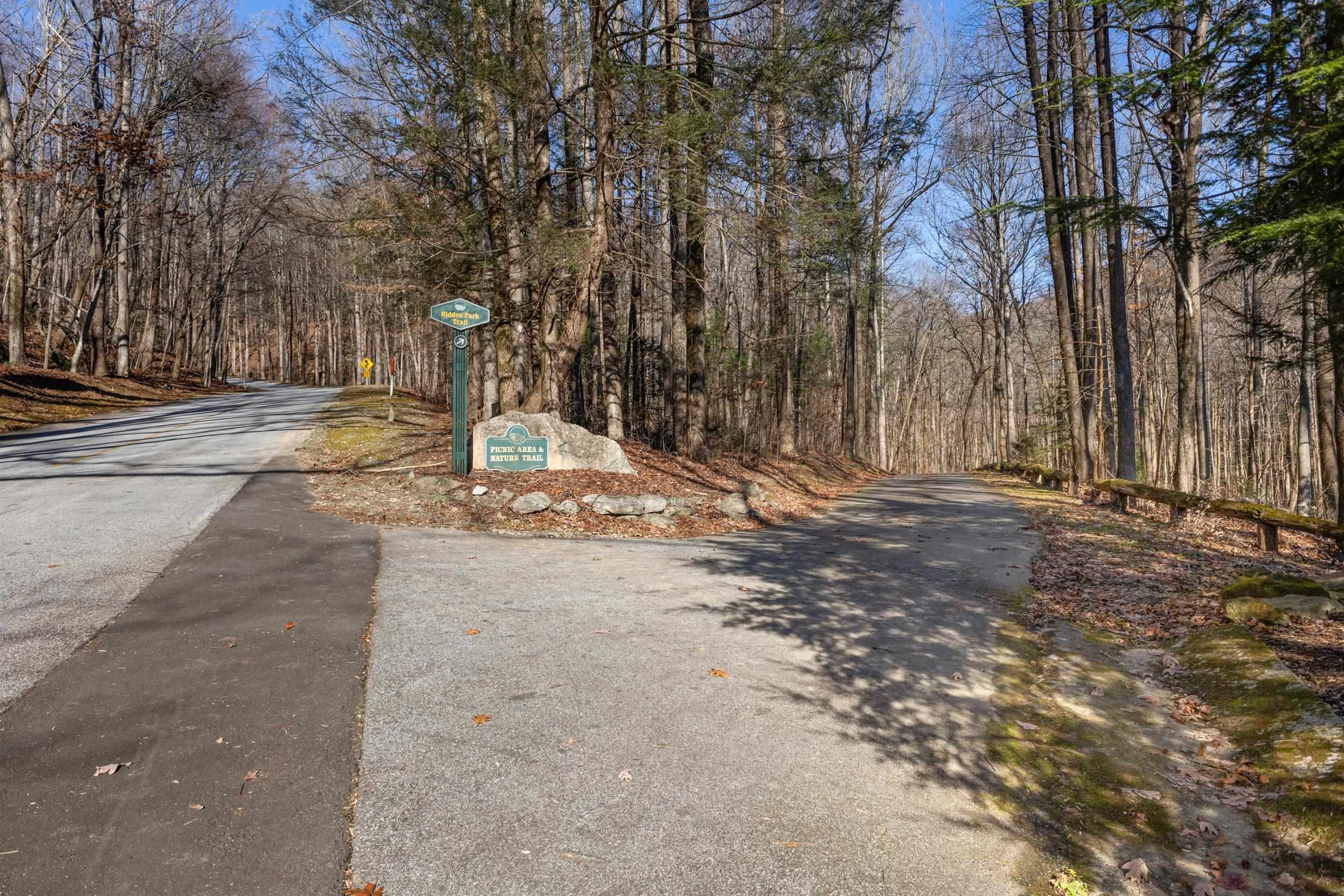 00 Panther Park Trail, Travelers Rest, South Carolina image 9