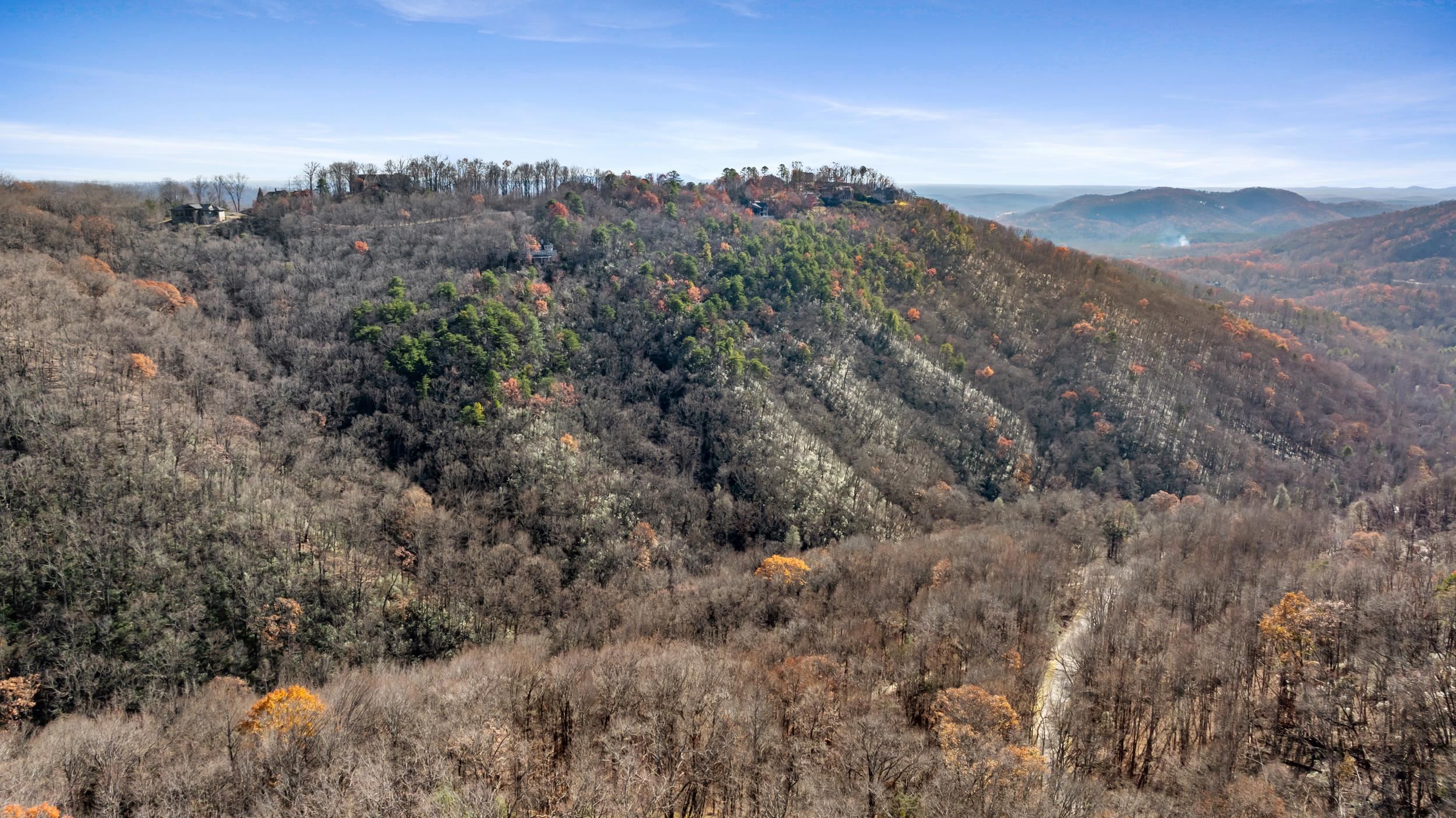 00 Panther Park Trail, Travelers Rest, South Carolina image 16