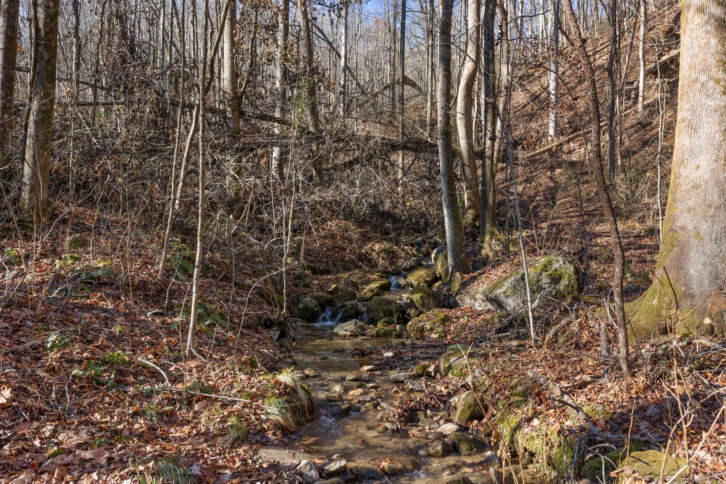 00 Panther Park Trail, Travelers Rest, South Carolina image 6