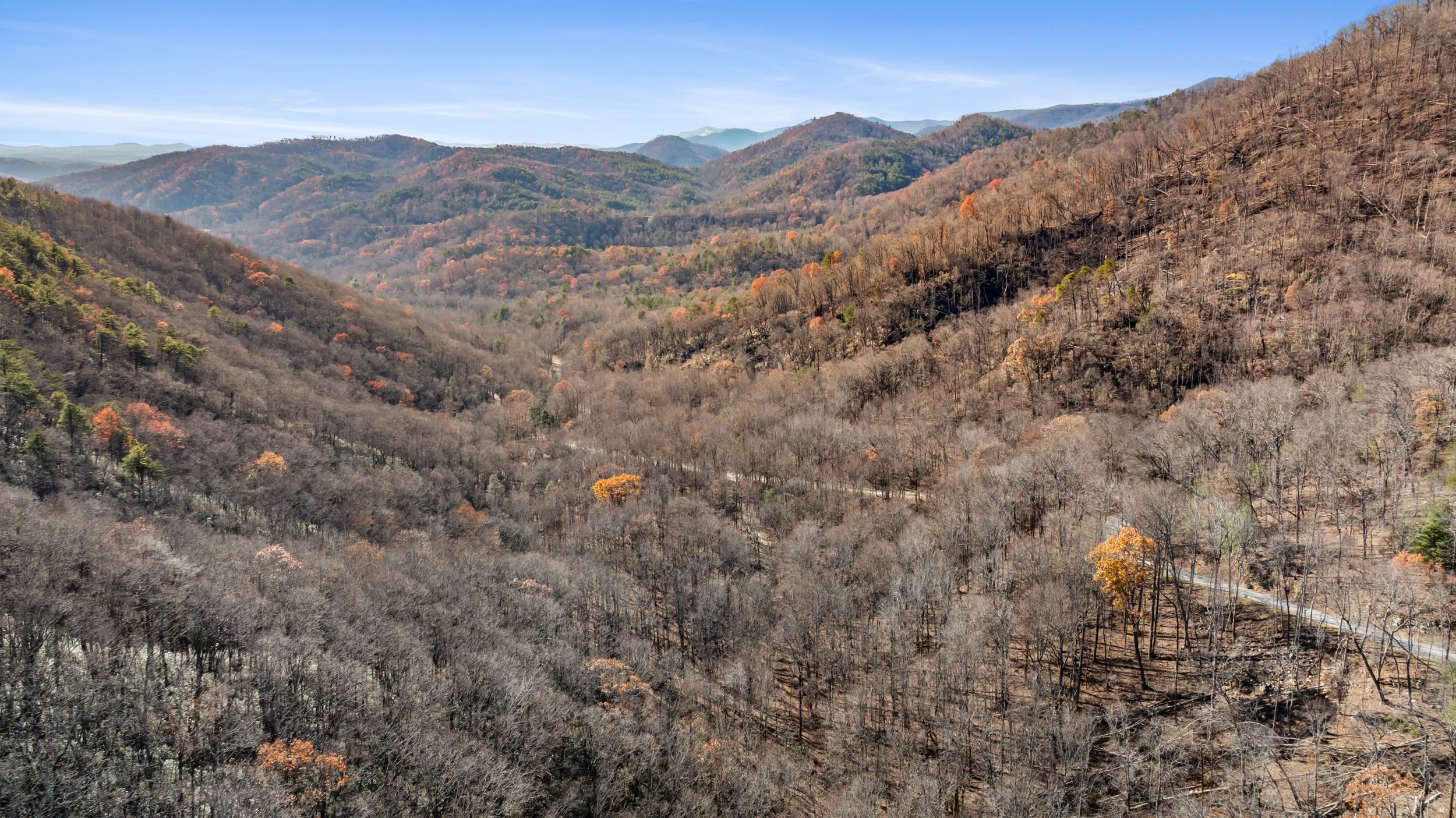 00 Panther Park Trail, Travelers Rest, South Carolina image 15
