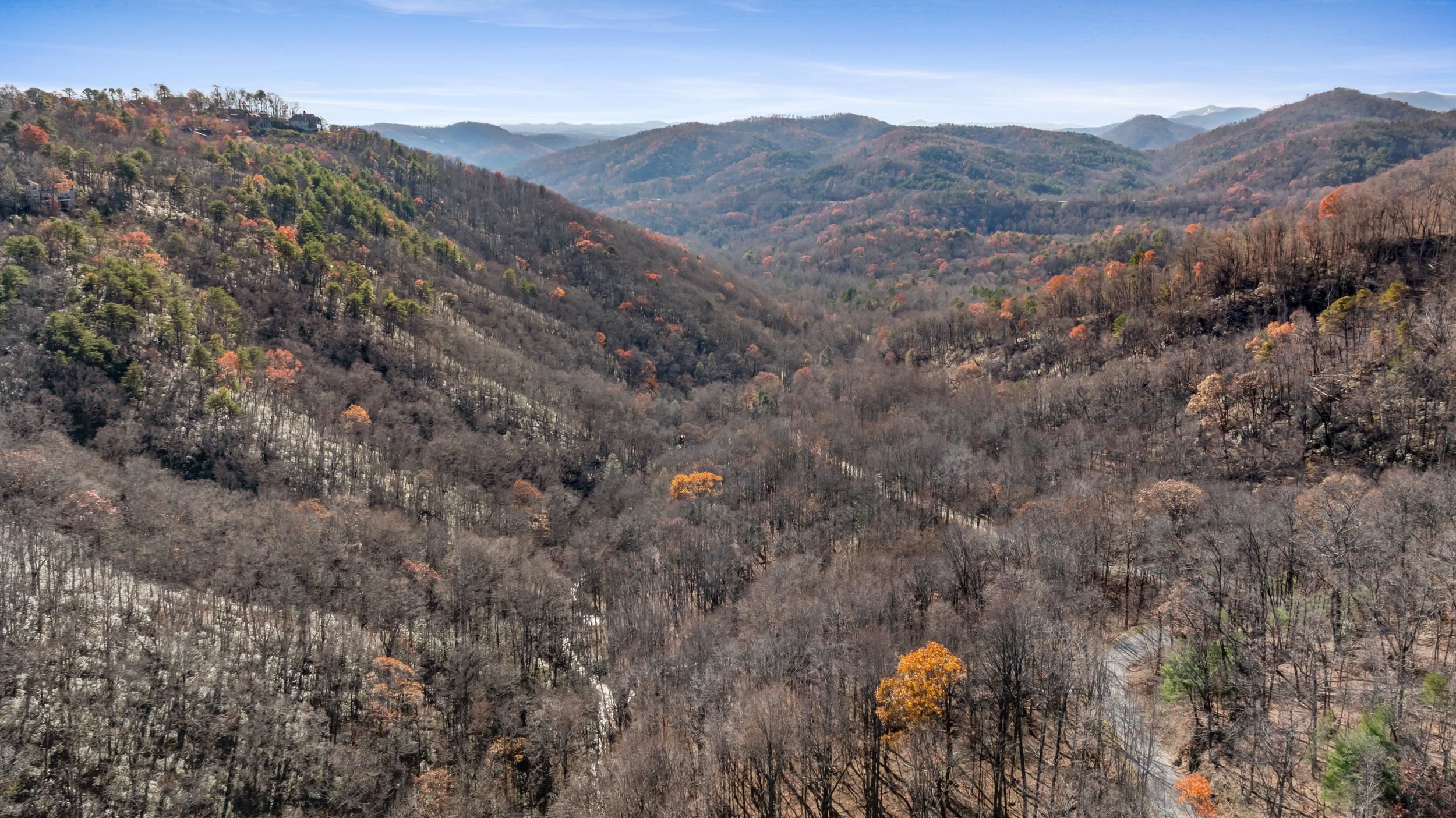 00 Panther Park Trail, Travelers Rest, South Carolina image 14