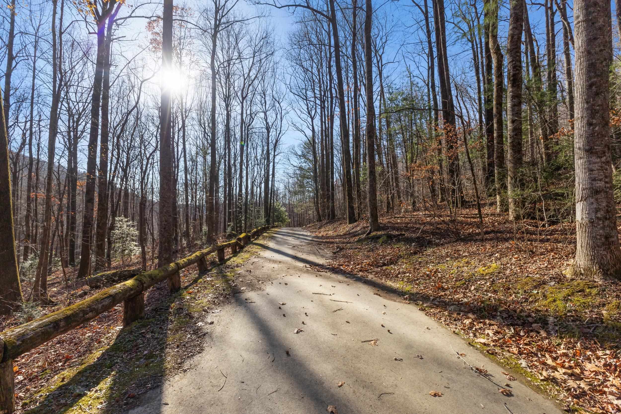 00 Panther Park Trail, Travelers Rest, South Carolina image 10