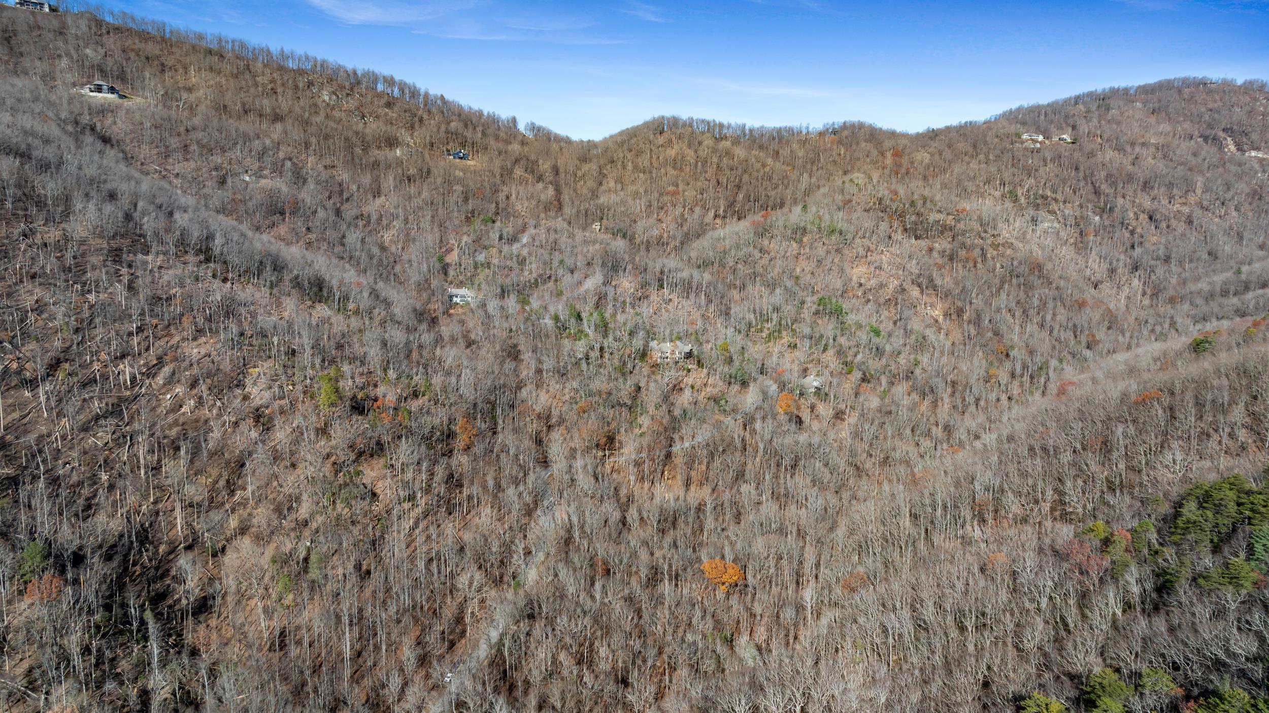 00 Panther Park Trail, Travelers Rest, South Carolina image 4