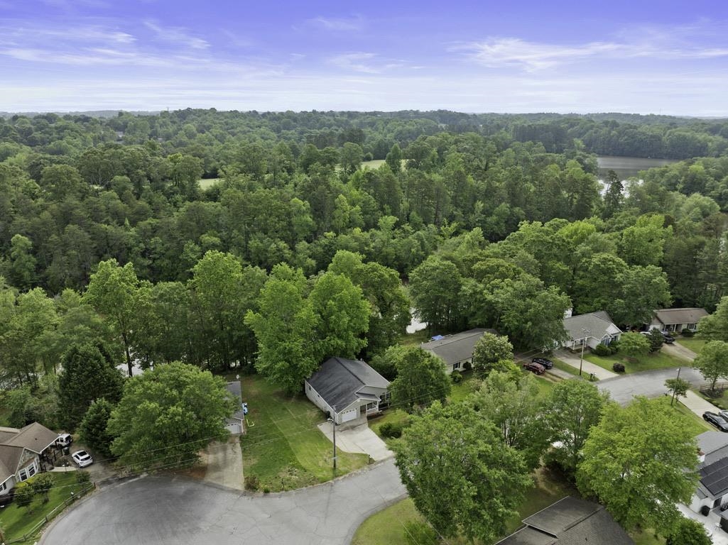 338 E Celestial Drive, Greer, South Carolina image 29