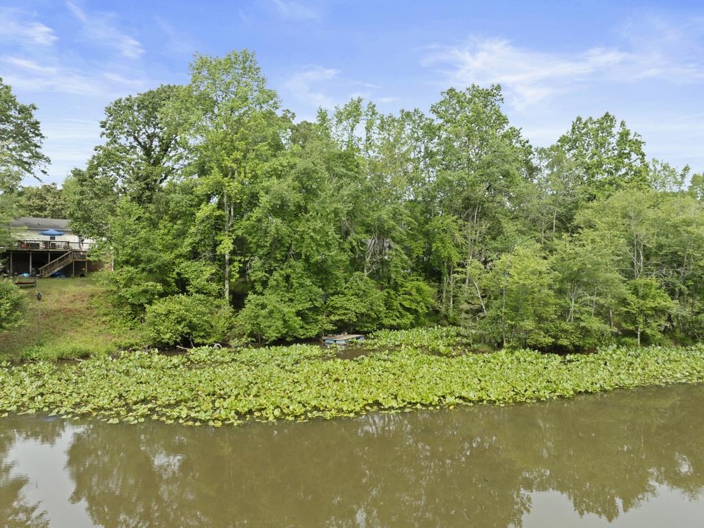 338 E Celestial Drive, Greer, South Carolina image 30