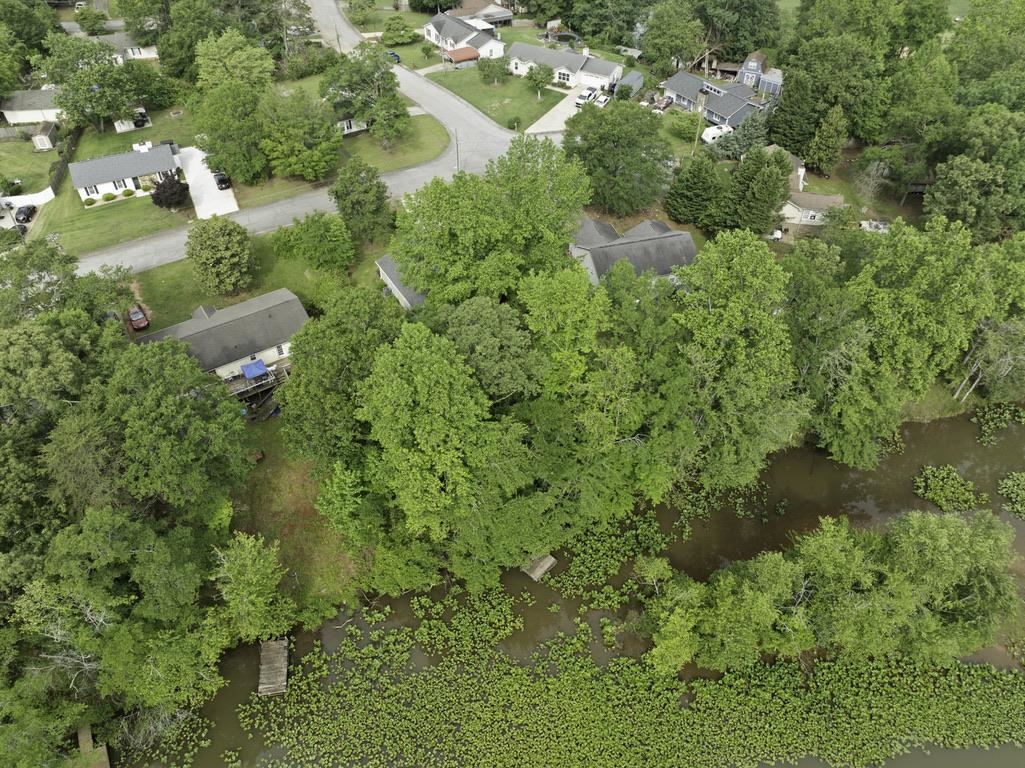 338 E Celestial Drive, Greer, South Carolina image 31